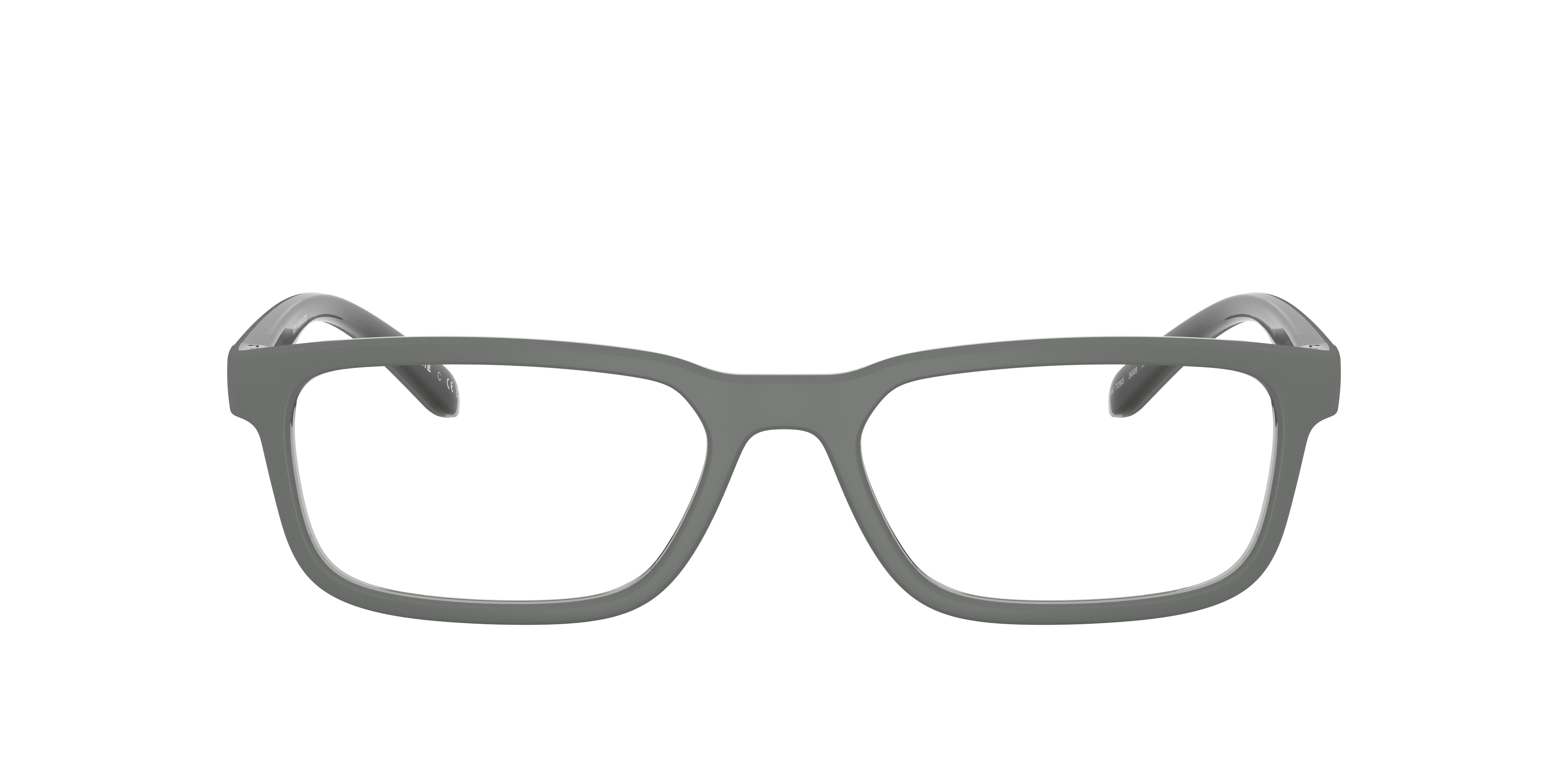 Arnette Raysin AN7283 3009