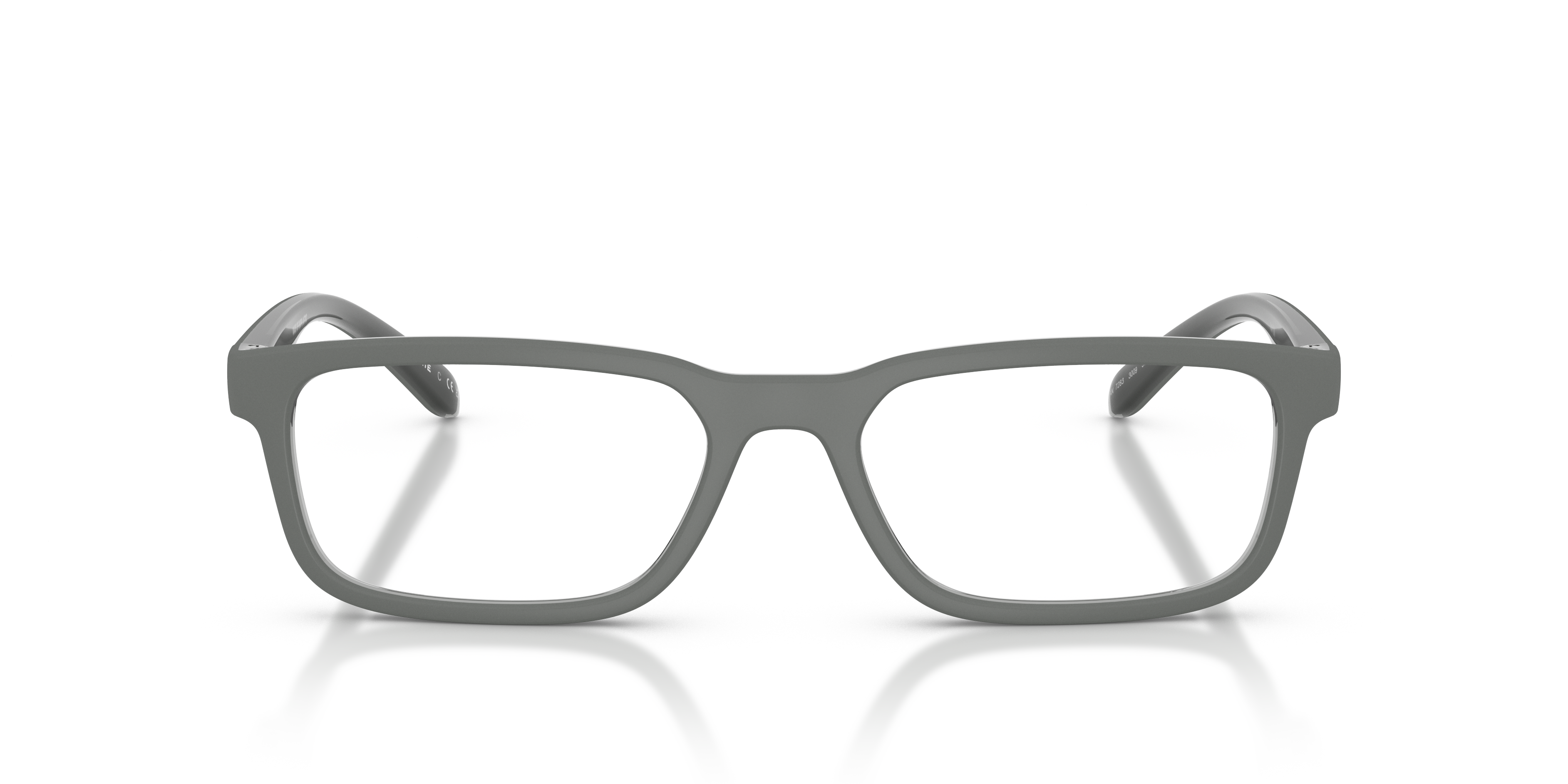 Arnette Raysin AN7283 3009