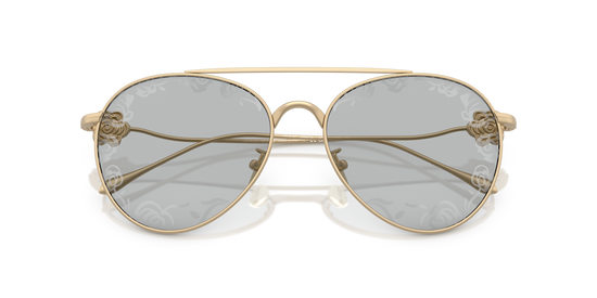 Giorgio armani  AR6167 3002AL