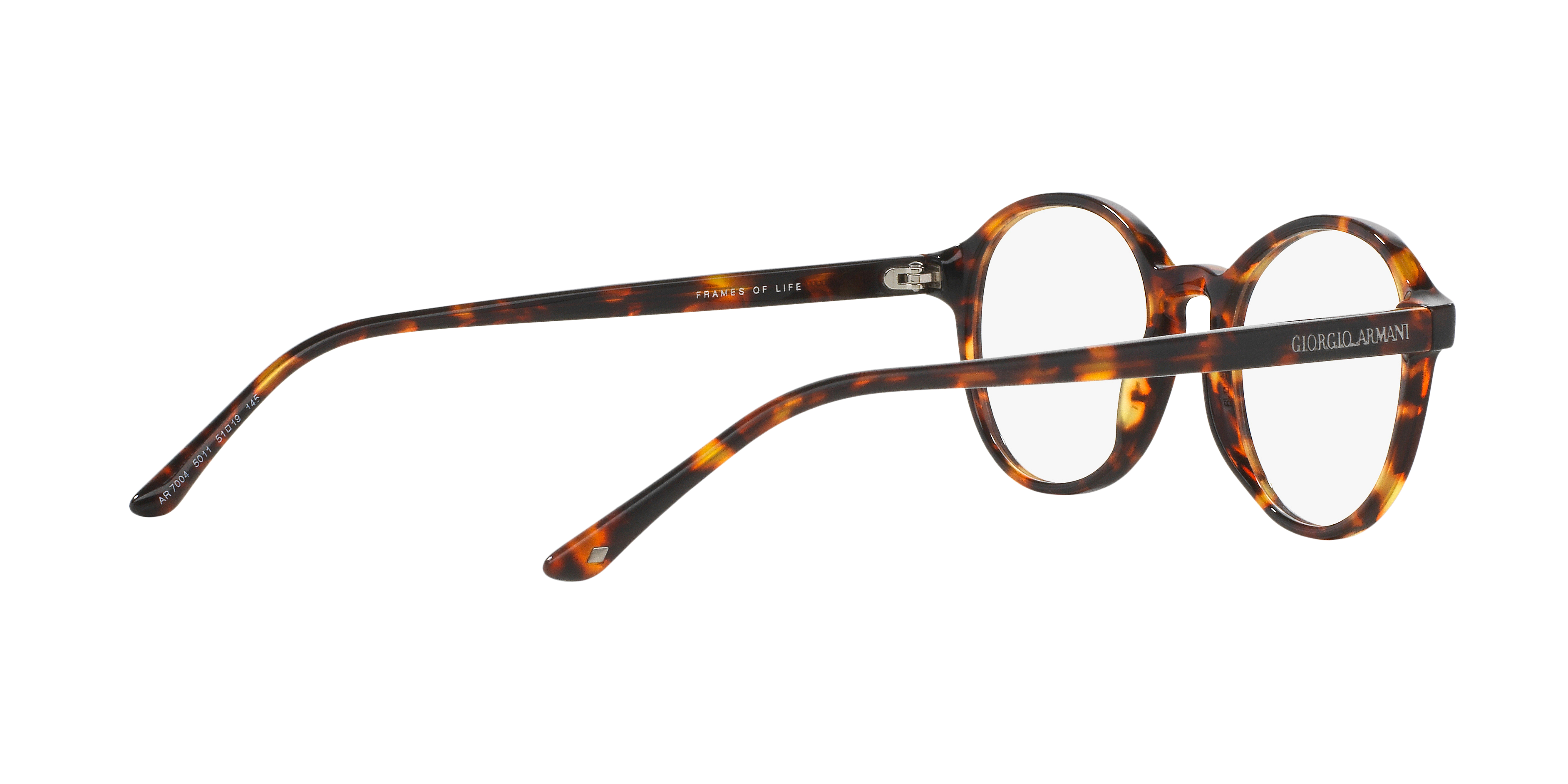 Giorgio Armani AR7004 5011