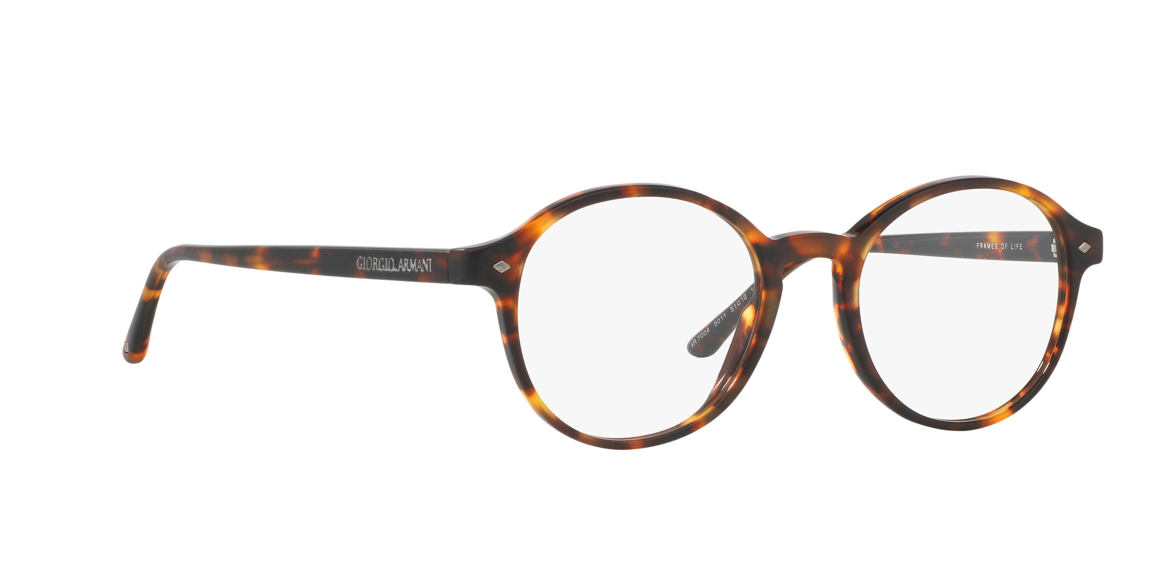 Giorgio Armani AR7004 5011