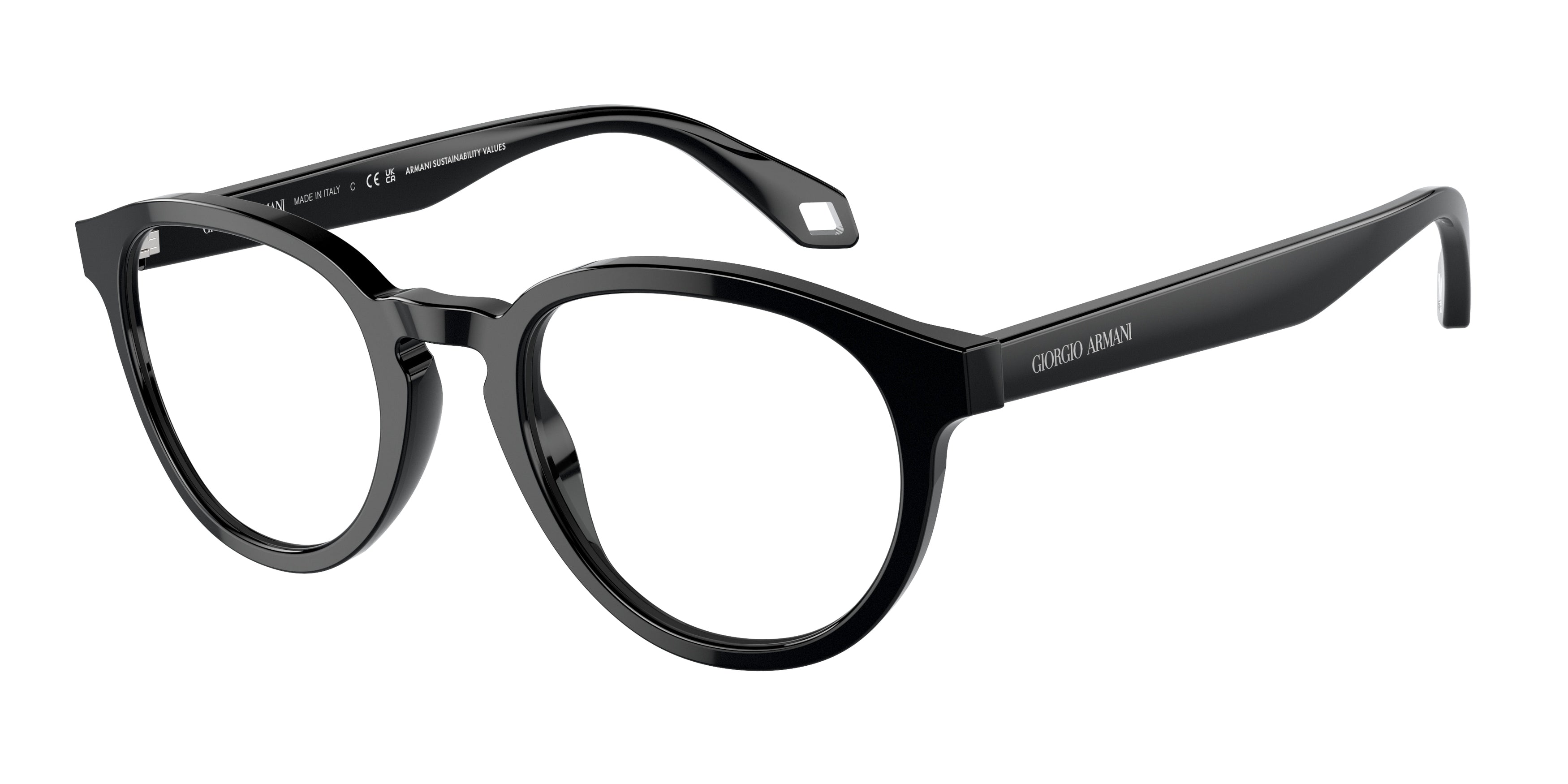 Giorgio Armani AR7248 5875