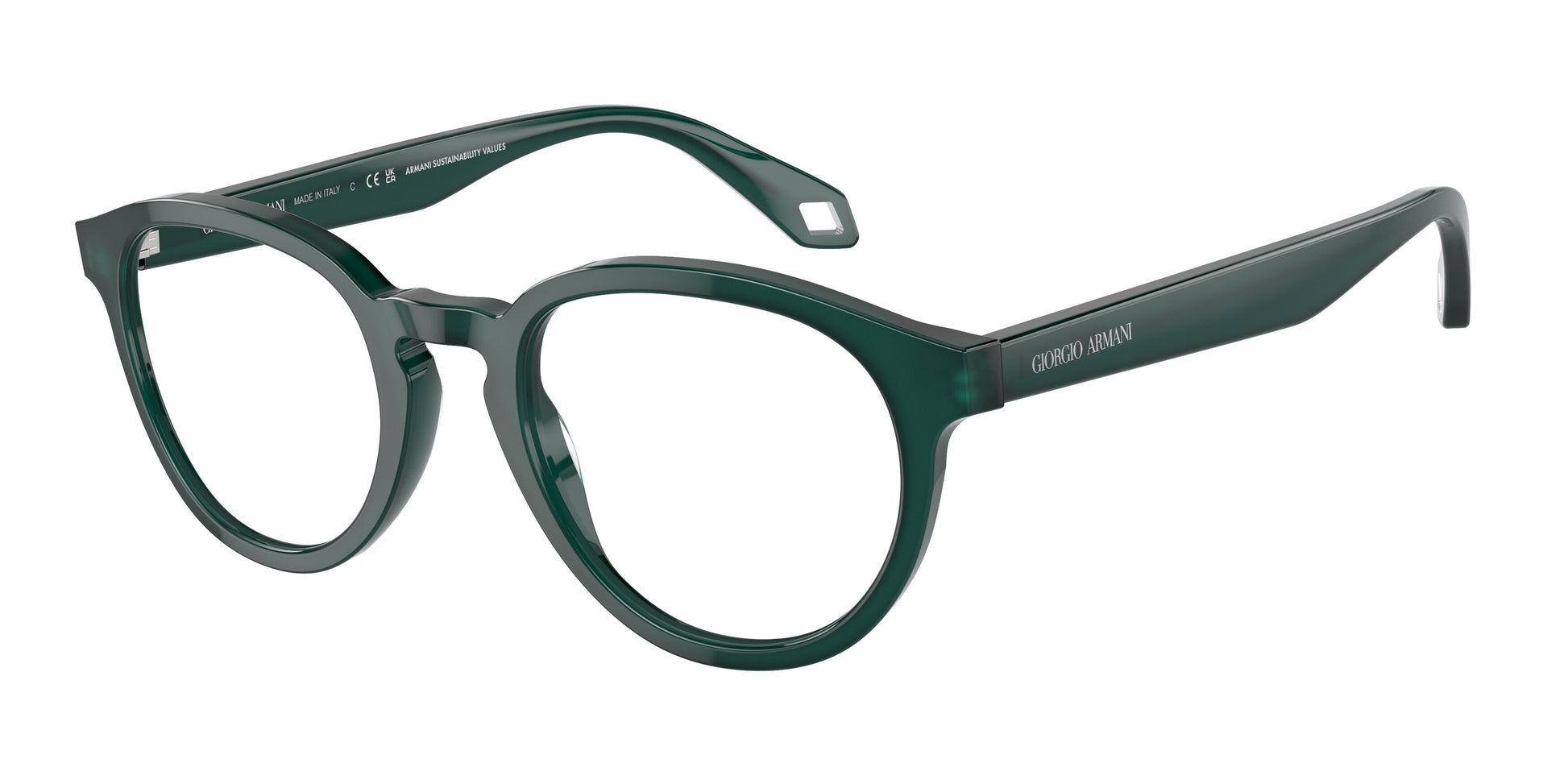 Giorgio Armani AR7248 6044