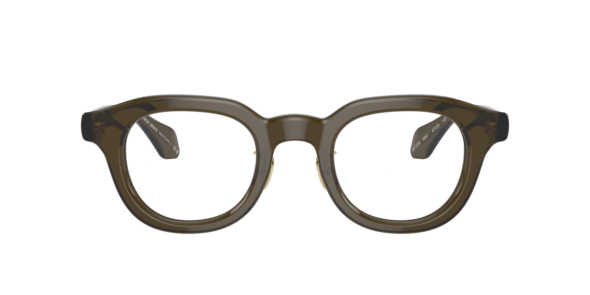 Giorgio Armani AR7253 6061