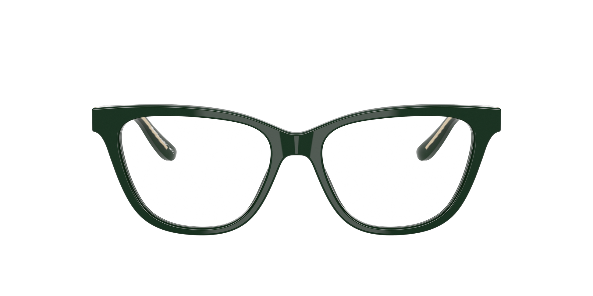 Giorgio Armani AR7263 6173
