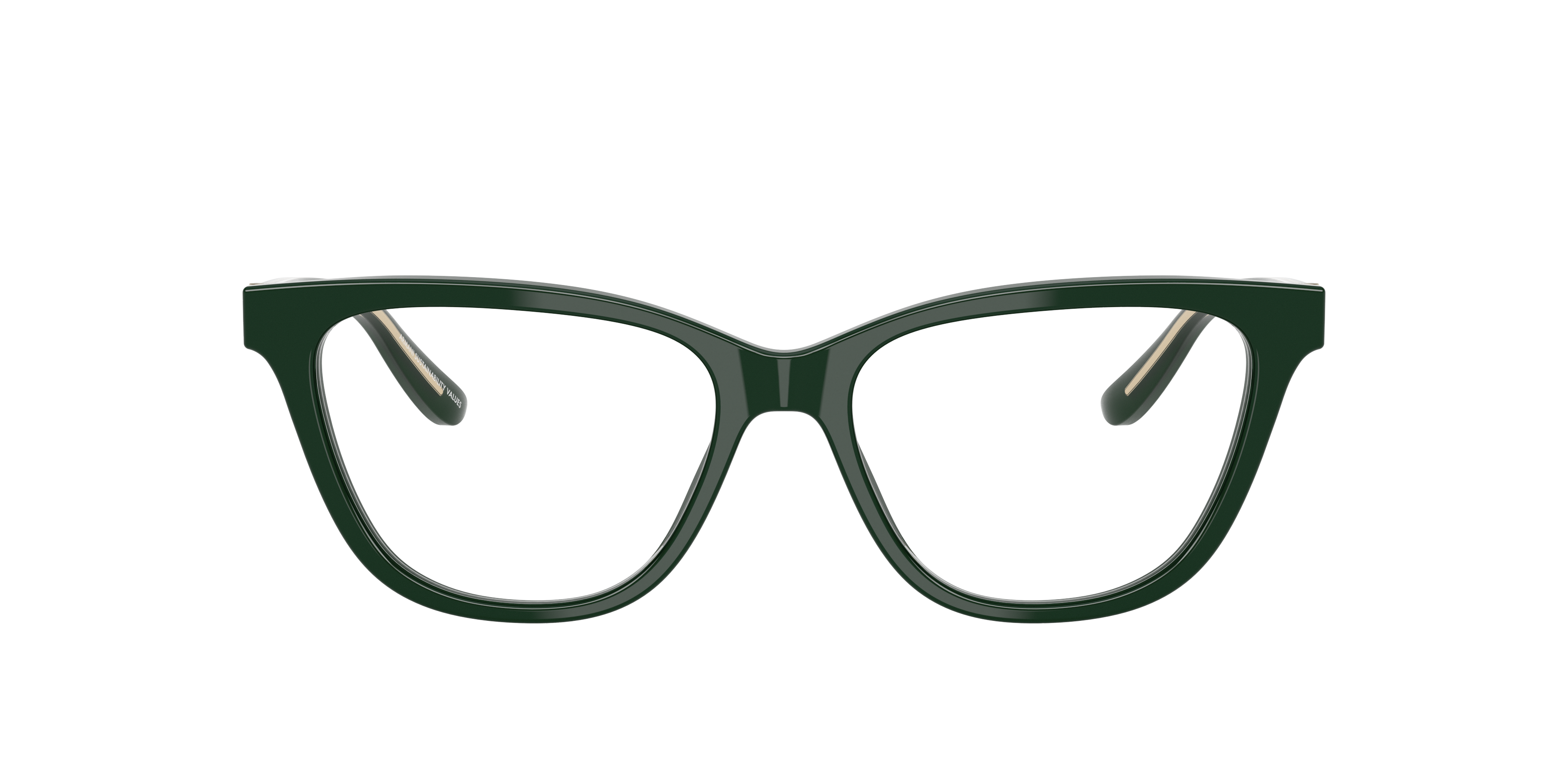 Giorgio Armani AR7263 6173