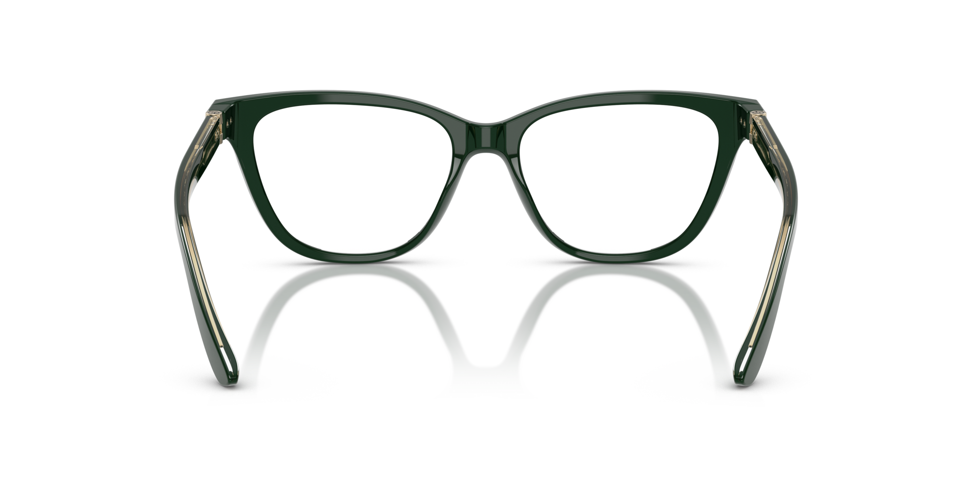 Giorgio Armani AR7263 6173