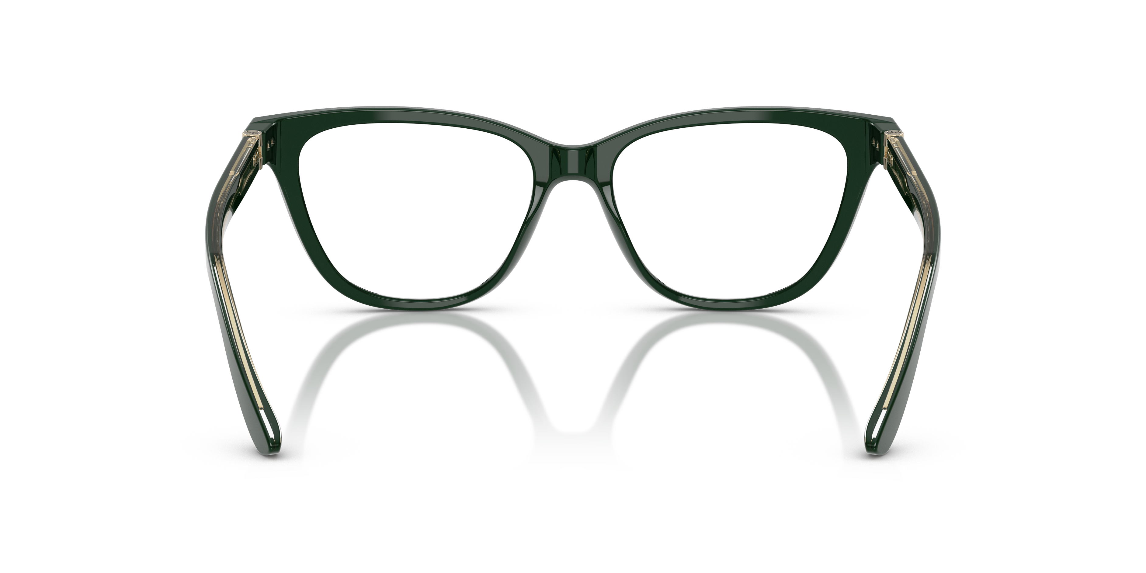 Giorgio Armani AR7263 6173