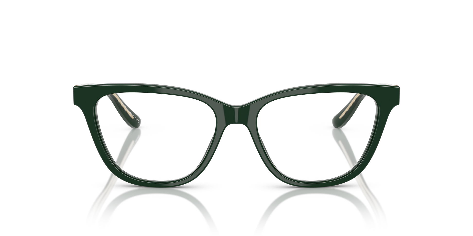 Giorgio Armani AR7263 6173