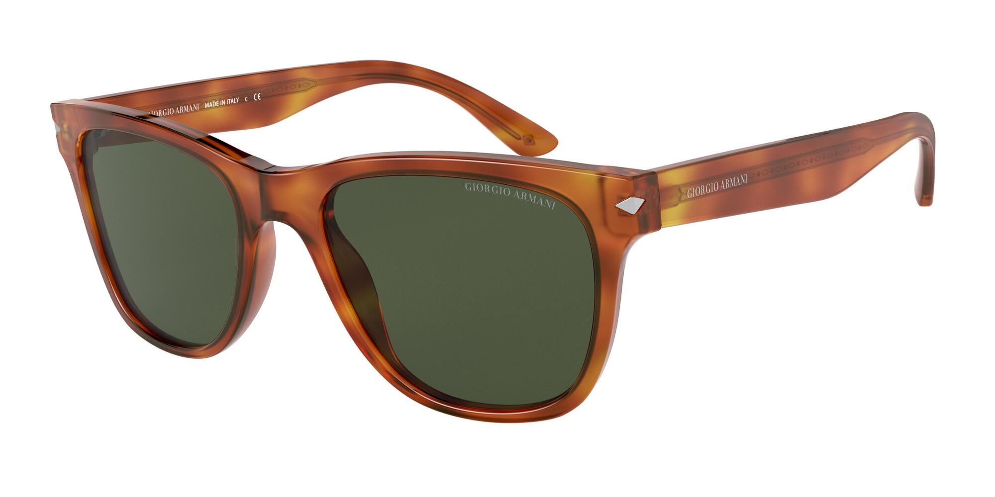 Giorgio Armani AR8133 584871 54