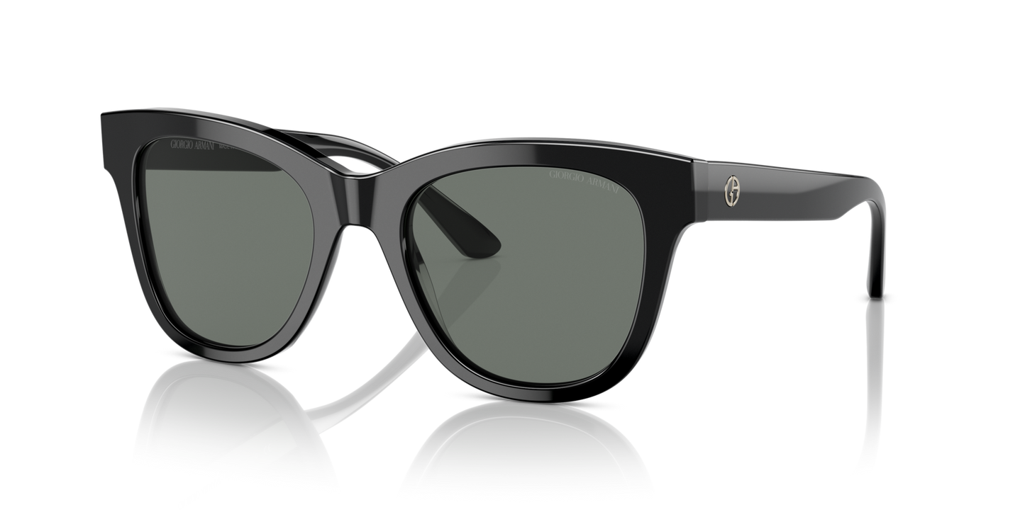 Giorgio Armani AR8165 500111 51