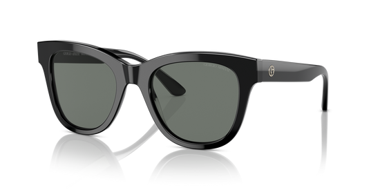 Giorgio Armani AR8165 500111 51