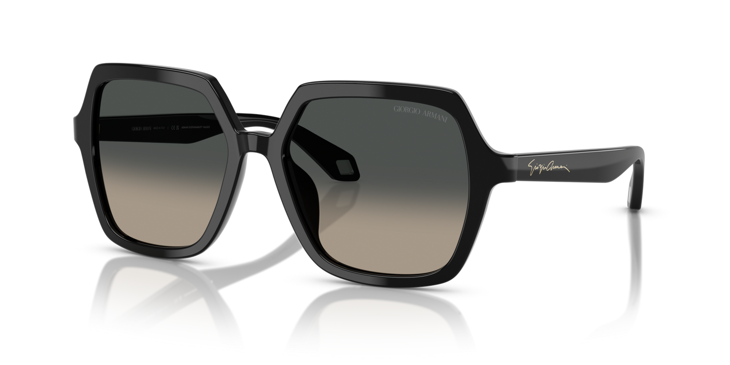 Giorgio armani  AR8193U 500119