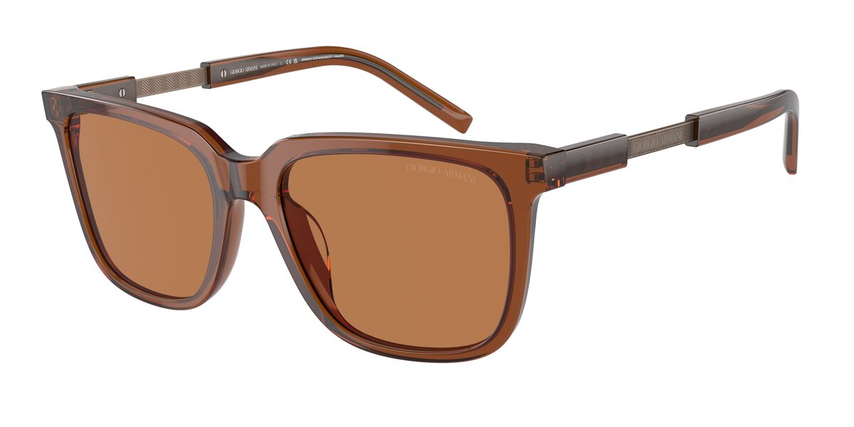Giorgio Armani AR8202U 604973
