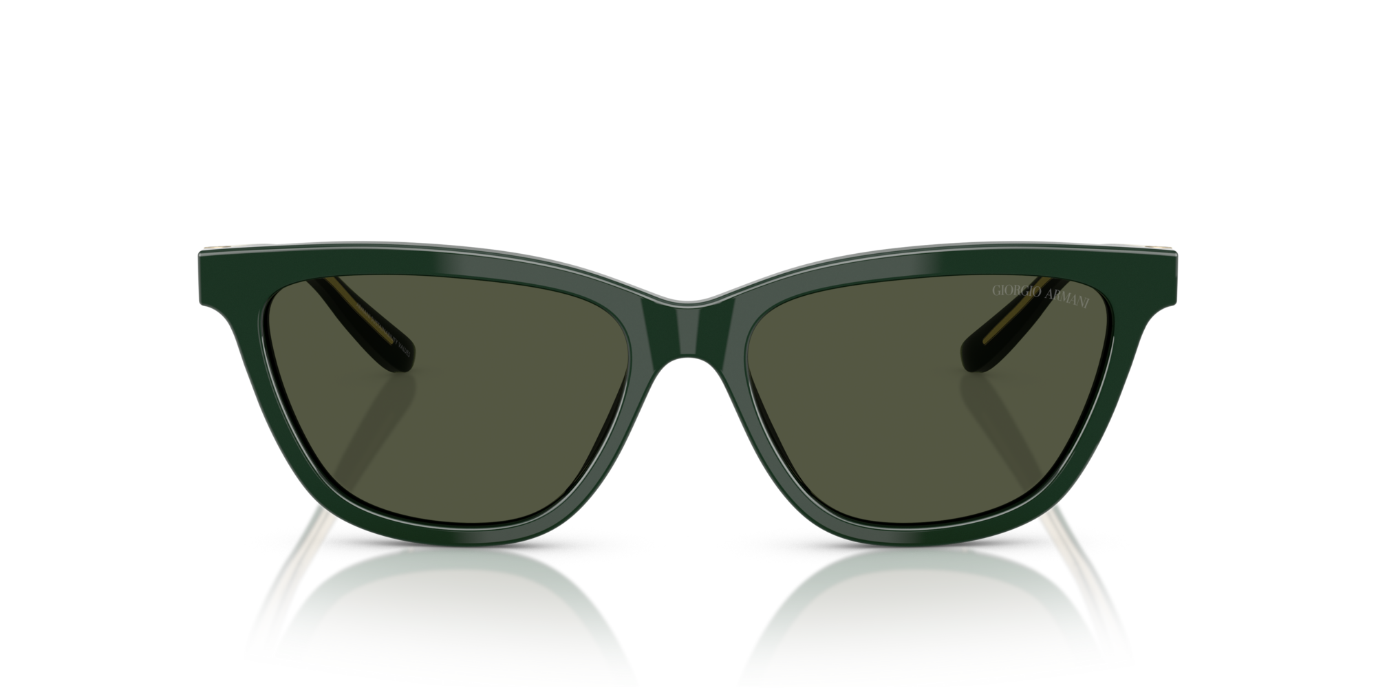 Giorgio Armani AR8221 617331