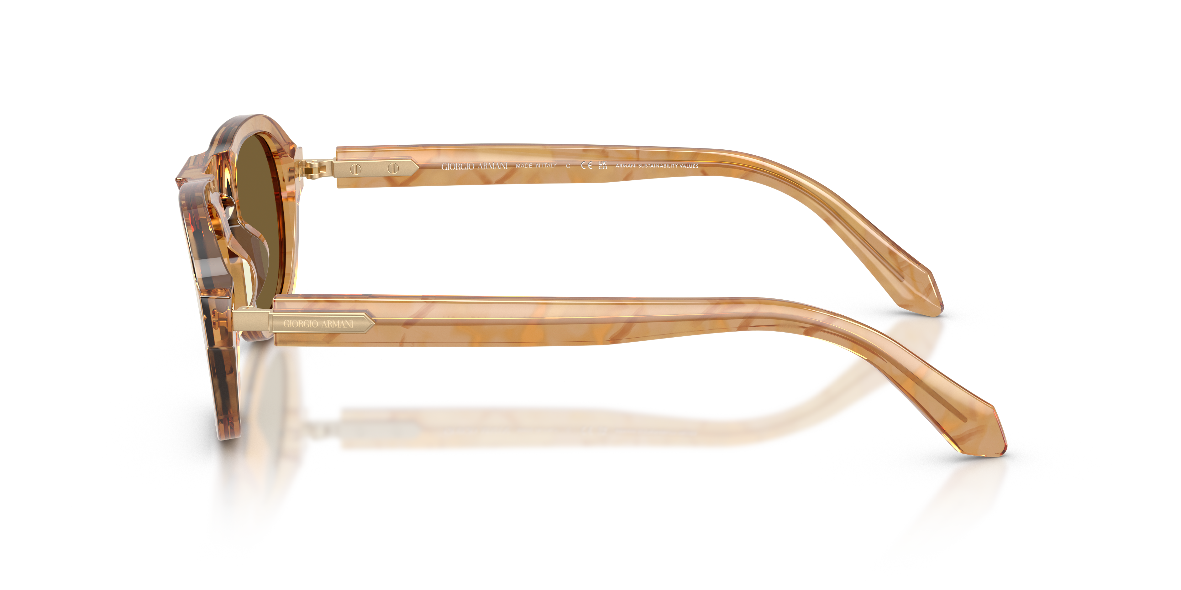 Giorgio Armani AR8244 630073