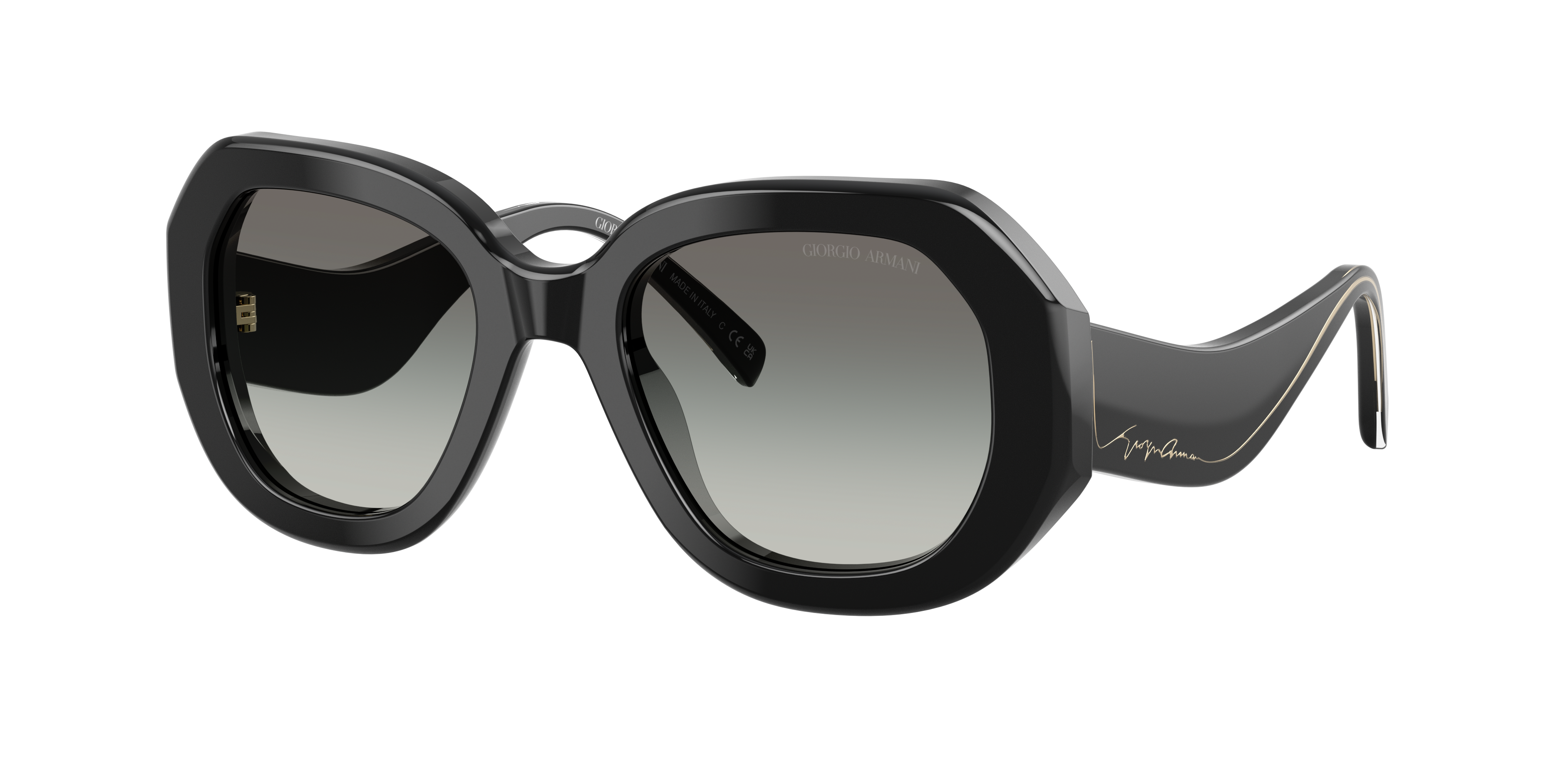 Giorgio Armani AR8248 500111
