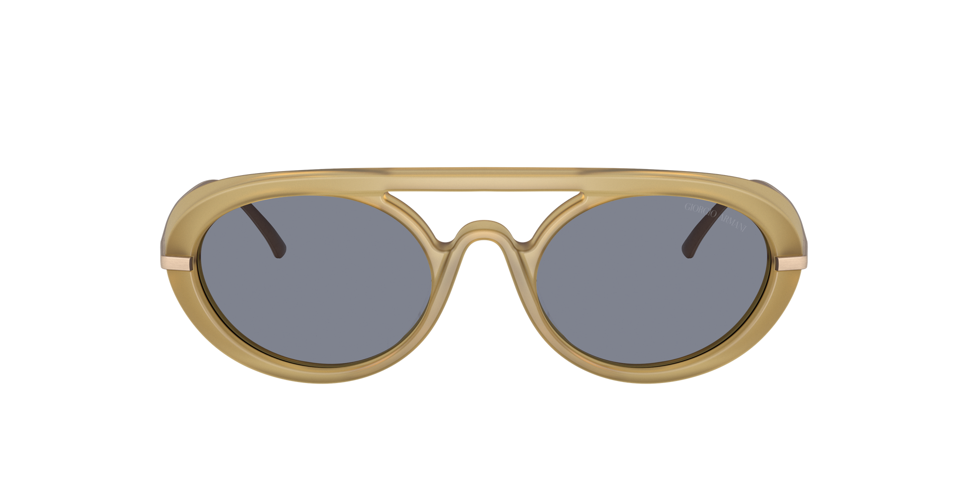 Giorgio Armani AR8256 641119