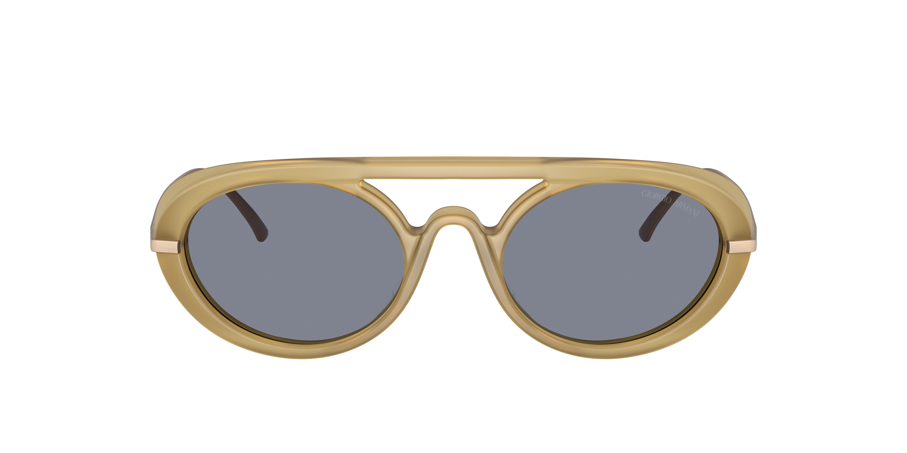 Giorgio Armani AR8256 641119