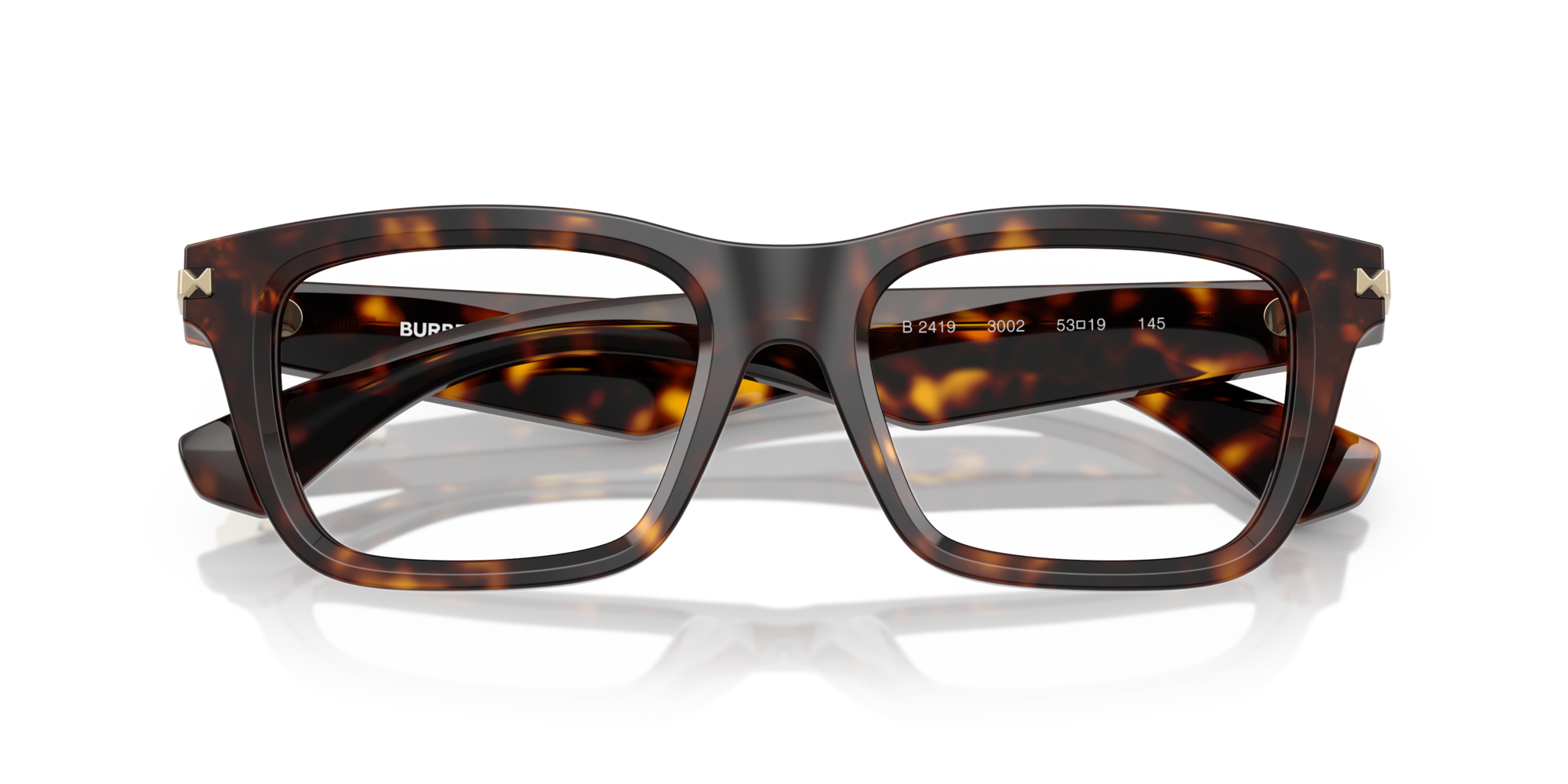 Burberry BE2419 3002