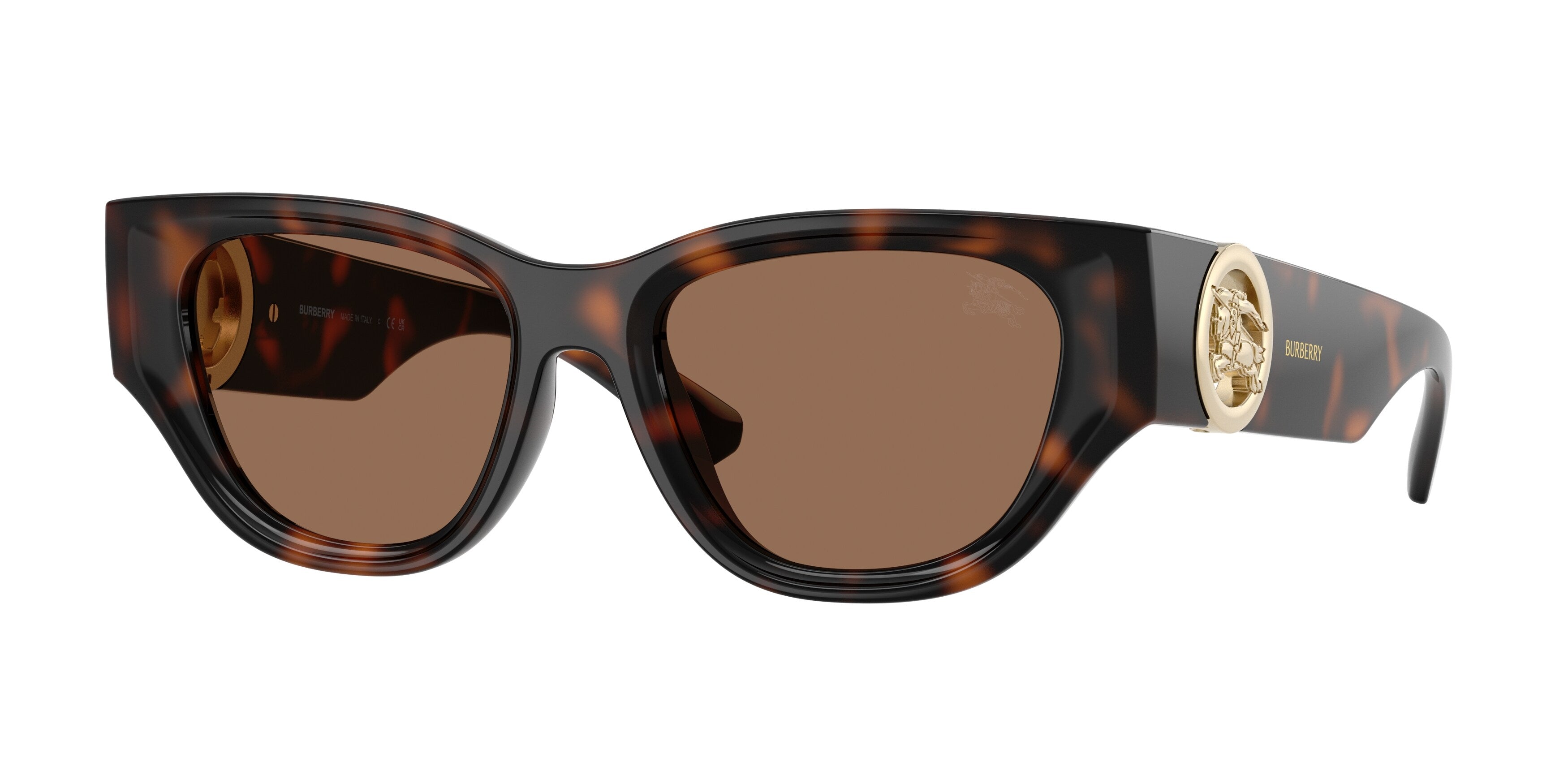 Burberry BE4467U 300273