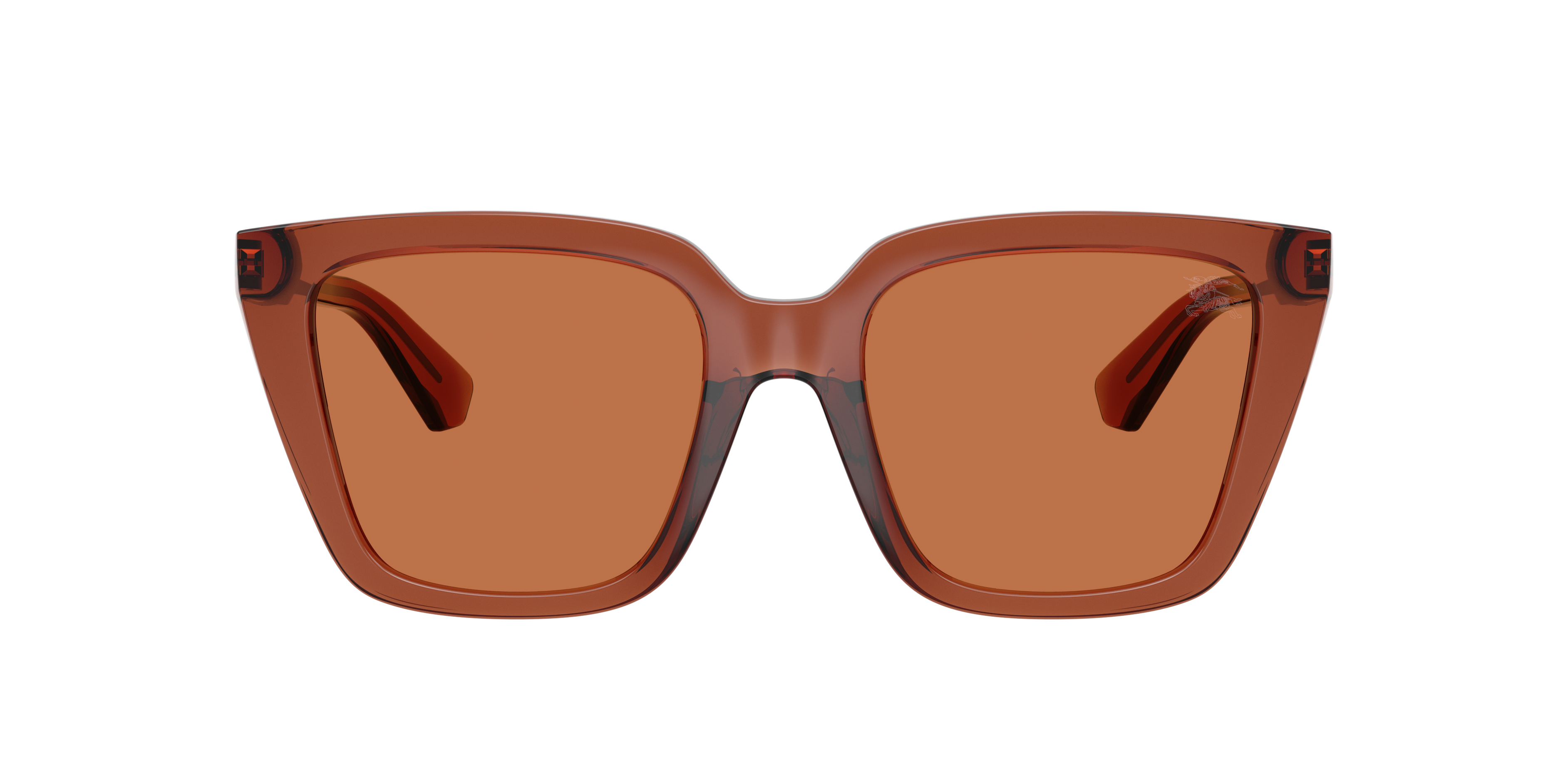 Burberry BE4473U 419573