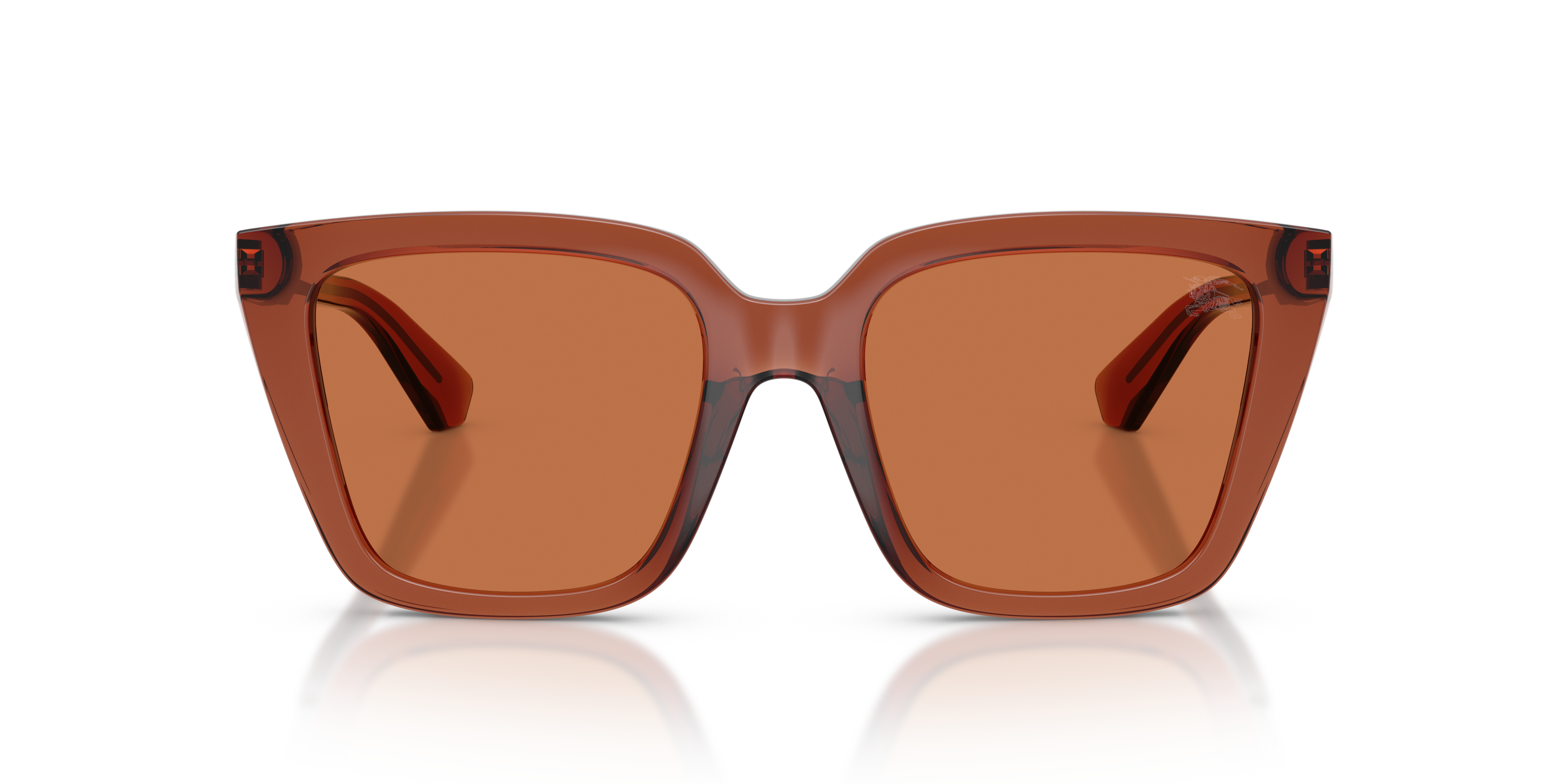 Burberry BE4473U 419573