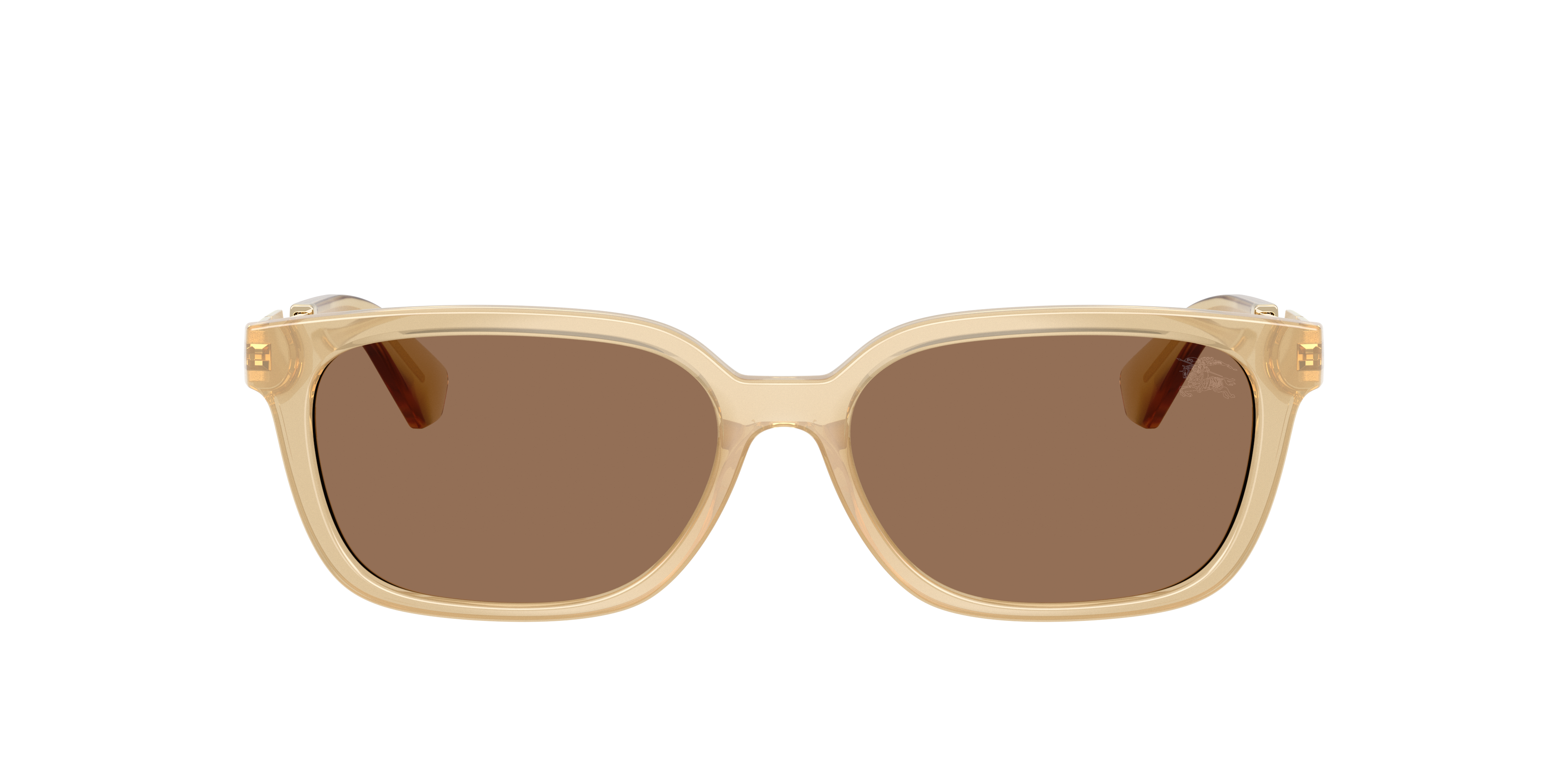 Burberry BE4481D 419873