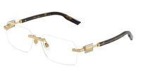 Dolce & Gabbana DG1361 02