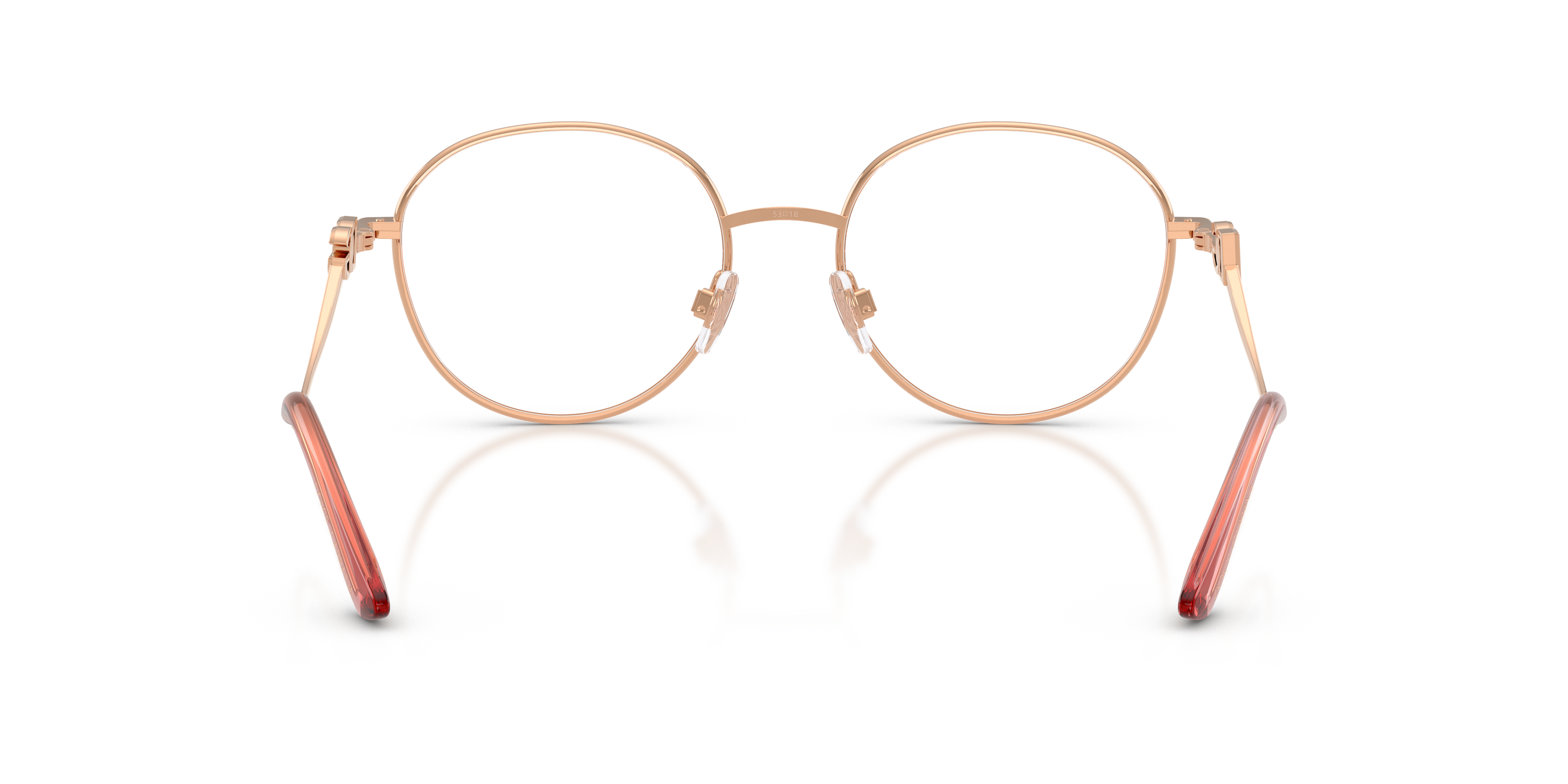 Dolce & Gabbana DG1365 1369