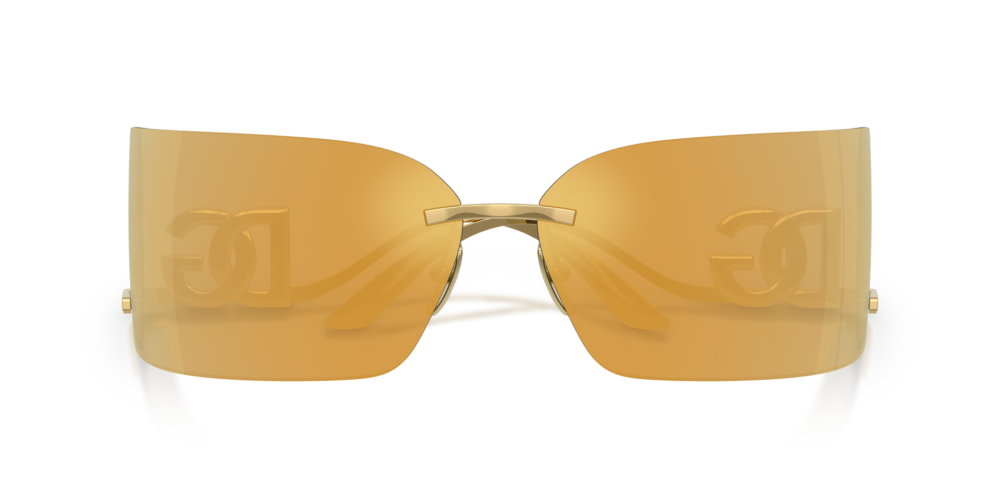 Dolce & GabbanaDG2319 02/5A 79