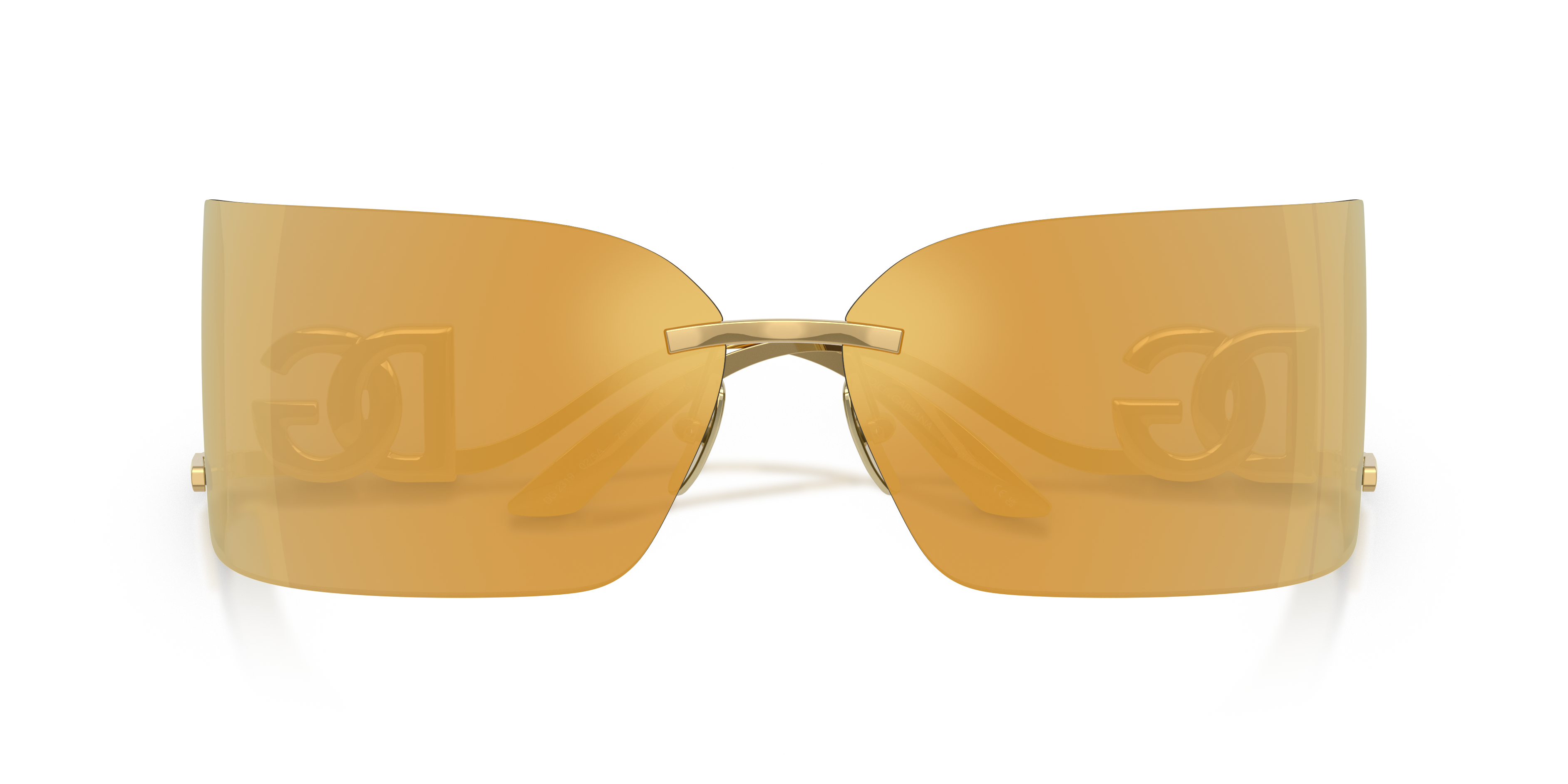 Dolce & GabbanaDG2319 02/5A 79