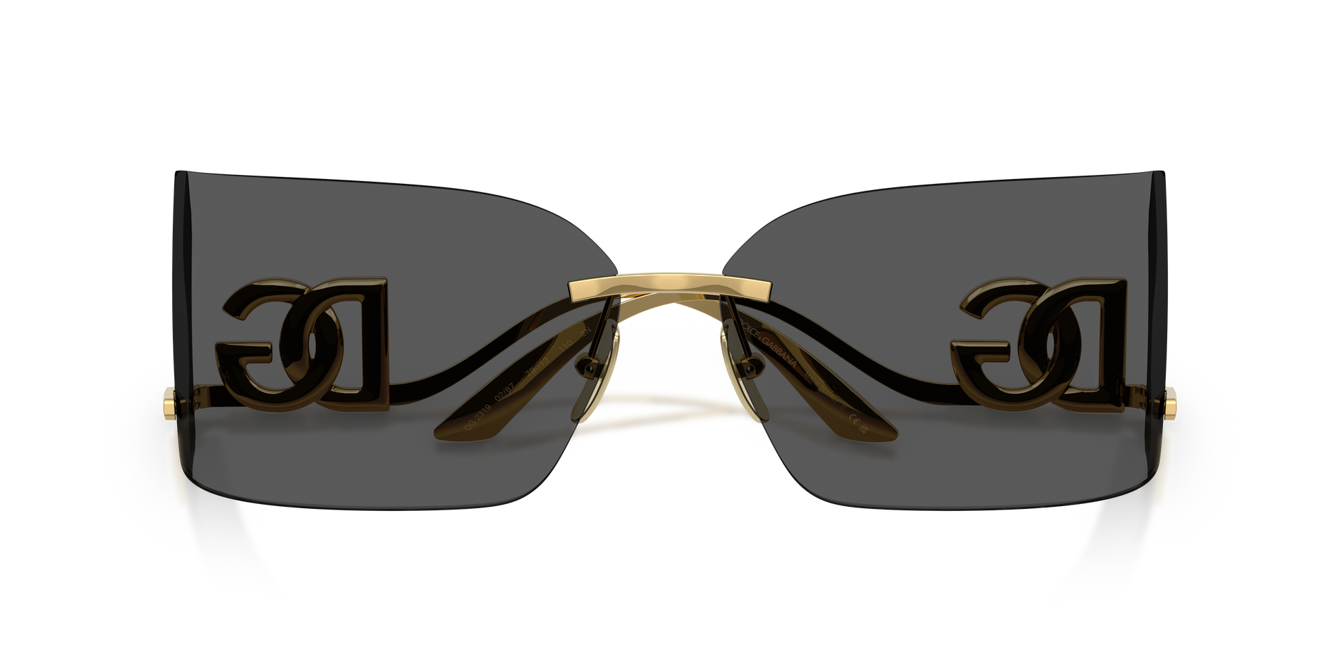 Dolce & GabbanaDG2319 02/87 79