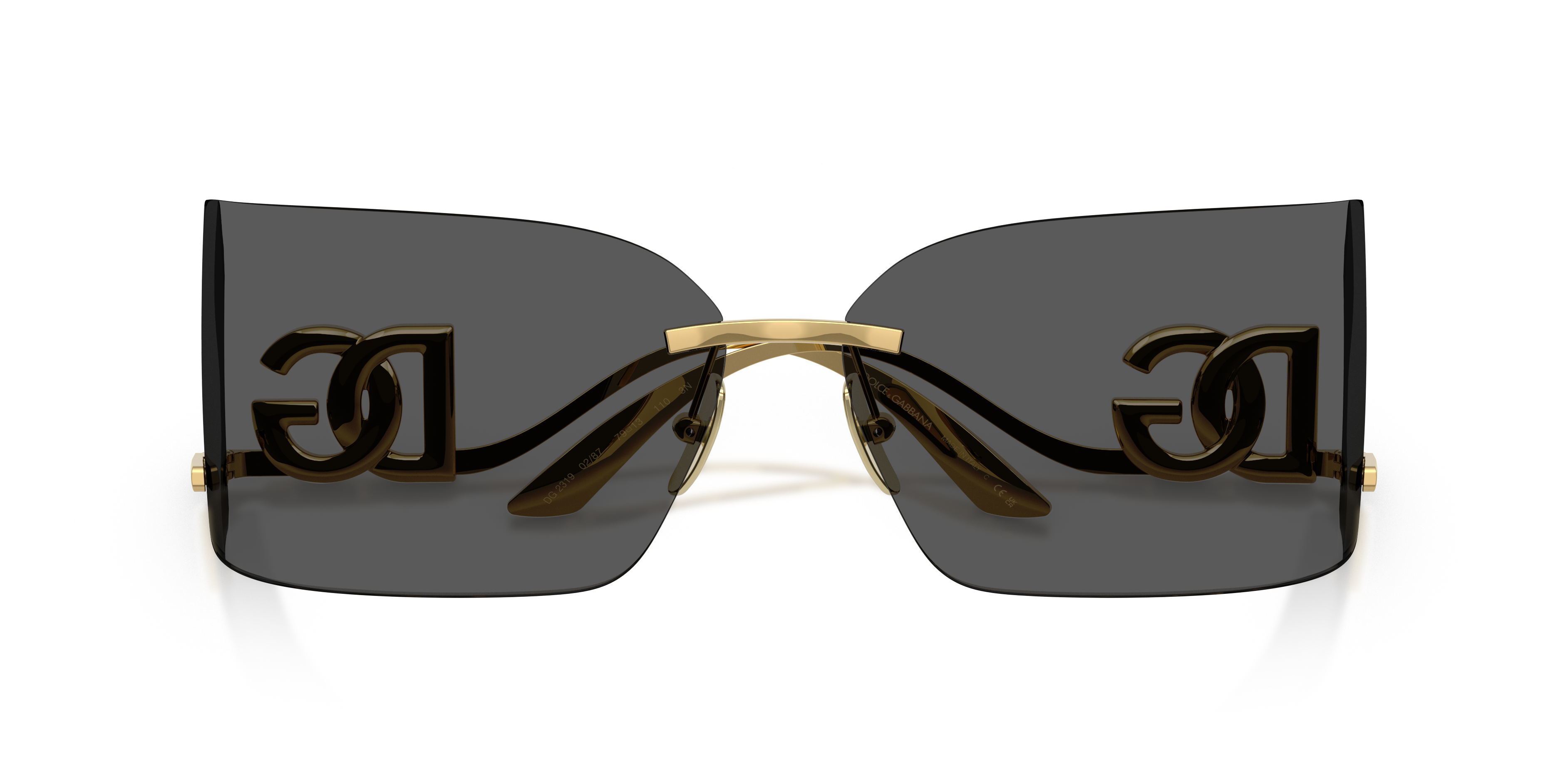 Dolce & GabbanaDG2319 02/87 79