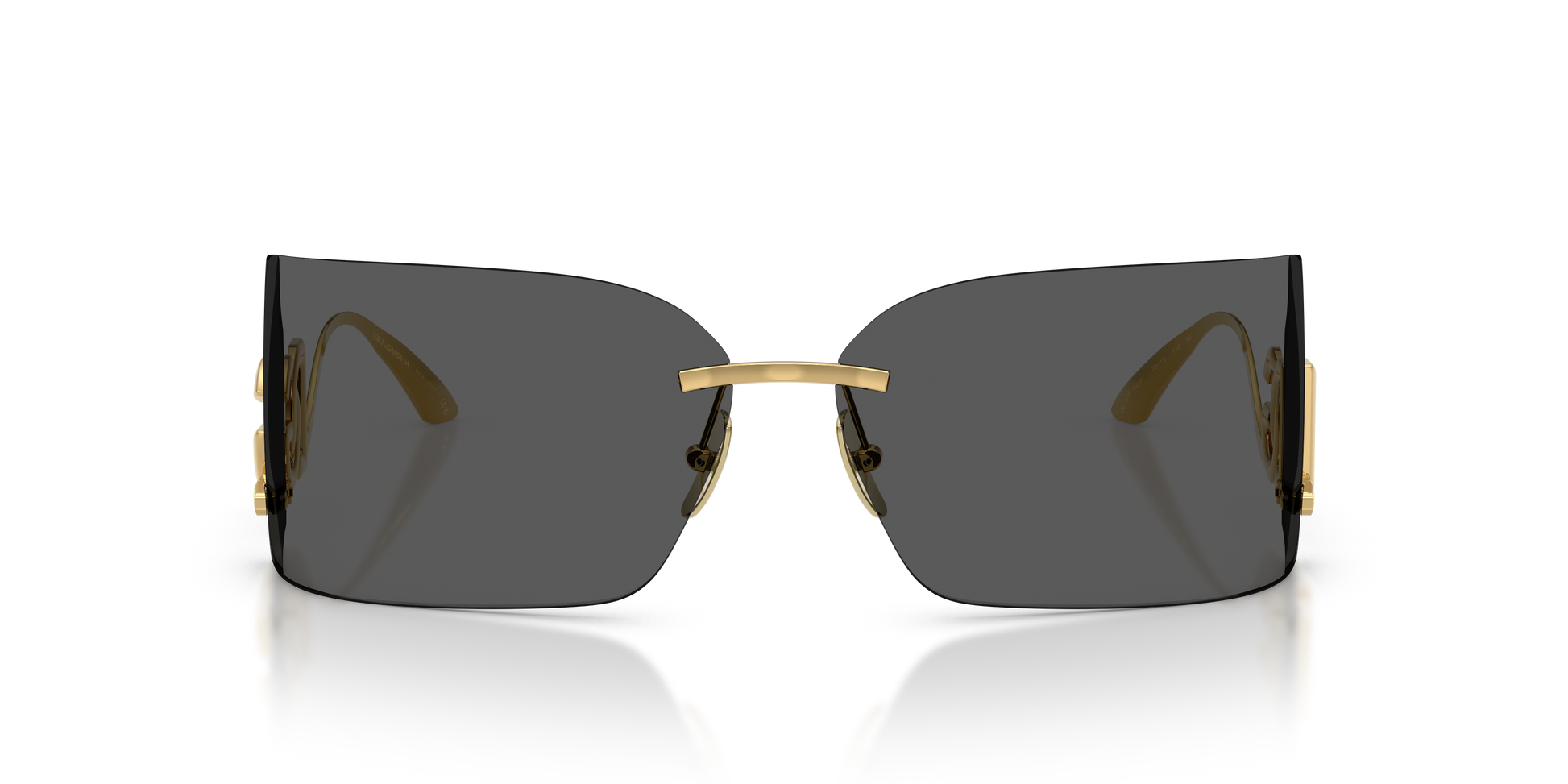 Dolce & GabbanaDG2319 02/87 79