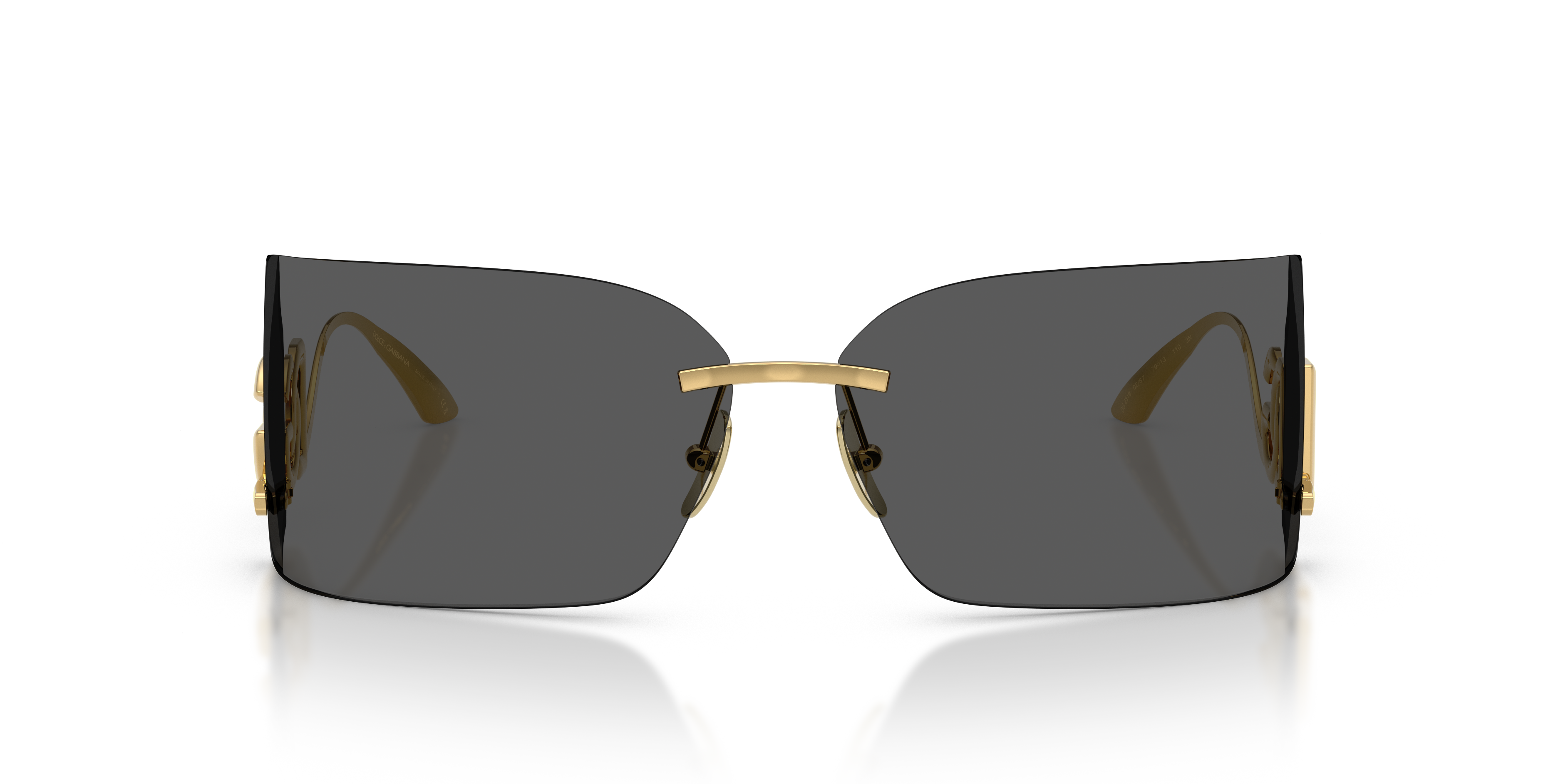 Dolce & GabbanaDG2319 02/87 79