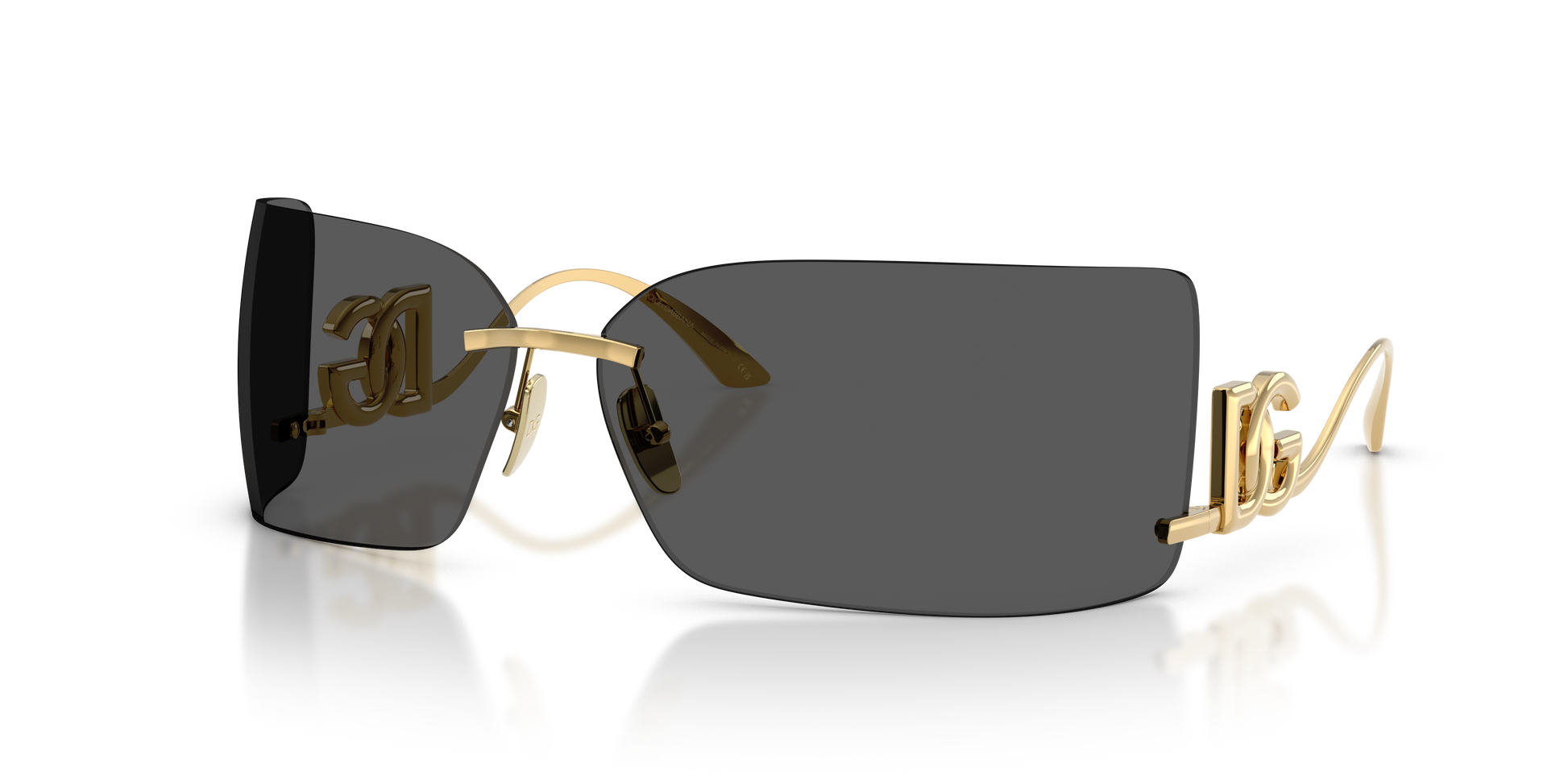 Dolce & GabbanaDG2319 02/87 79