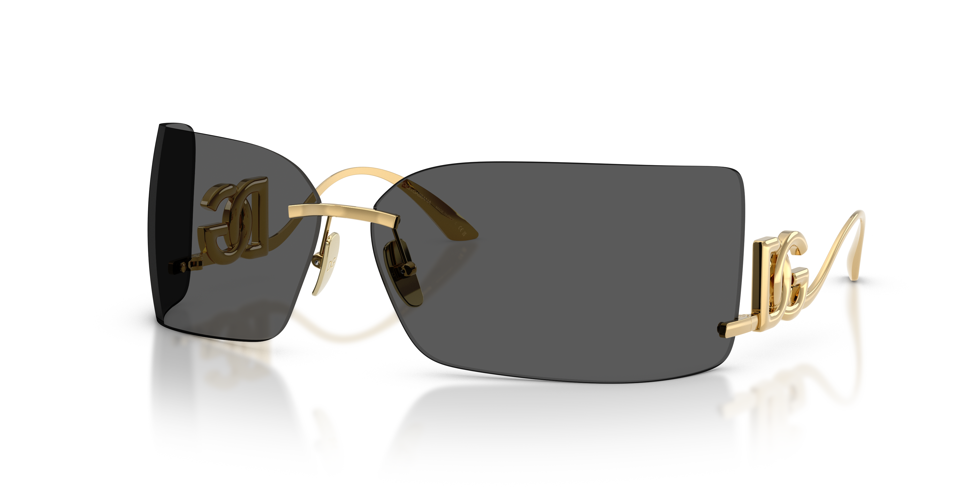 Dolce & GabbanaDG2319 02/87 79