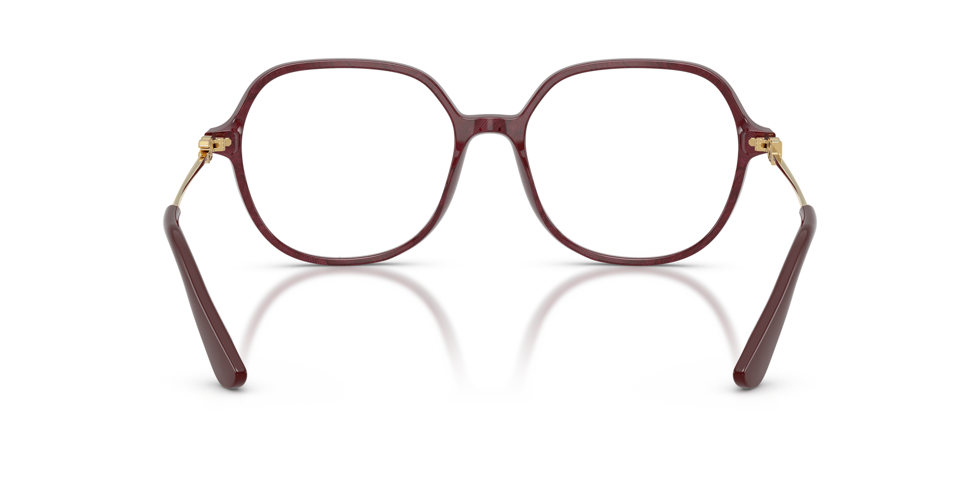 Dolce & GabbanaDG3364 3442 54