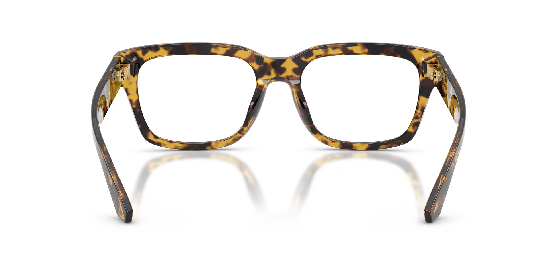 Dolce & GabbanaDG3416 3330 55