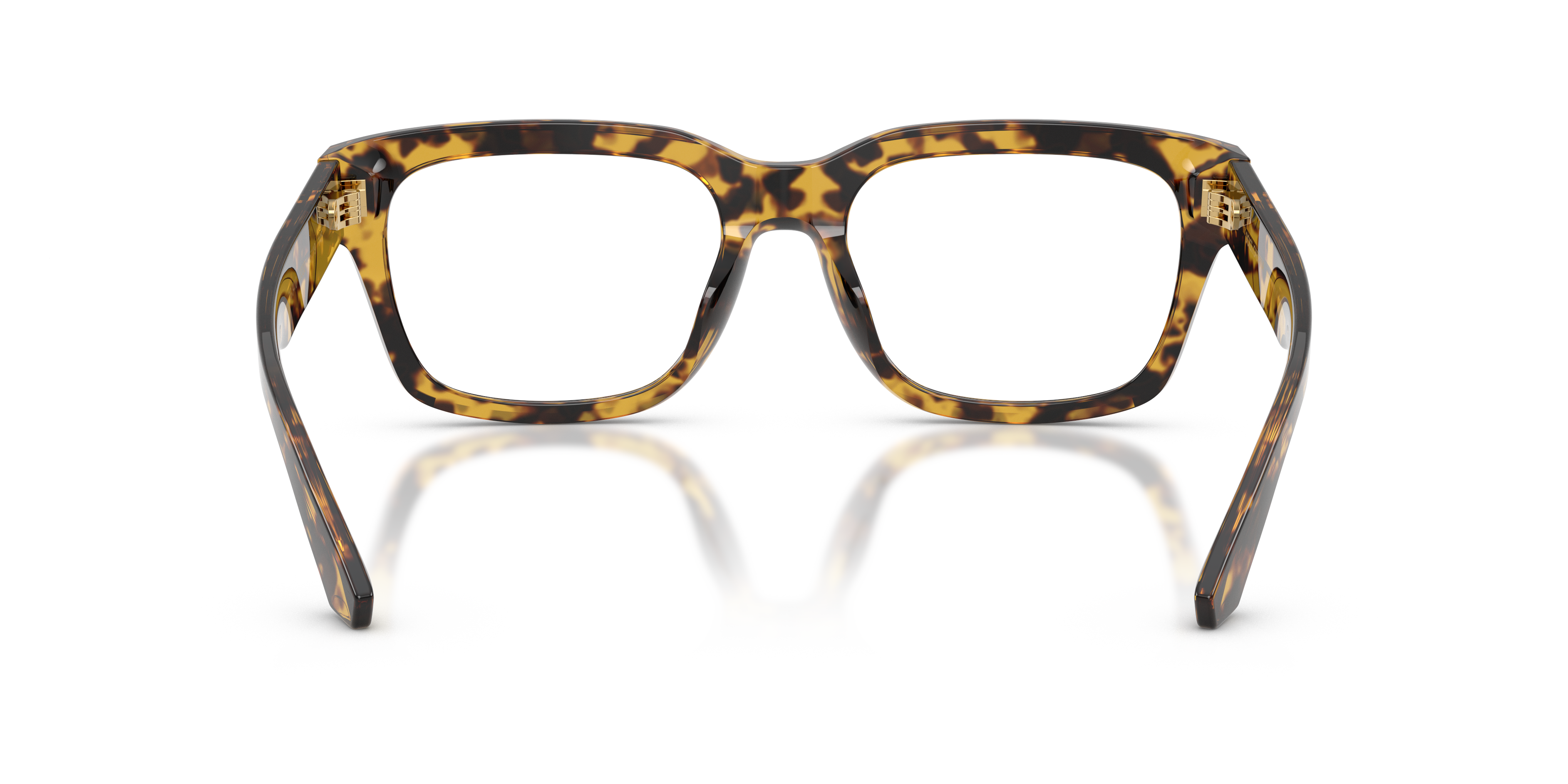 Dolce & GabbanaDG3416 3330 55