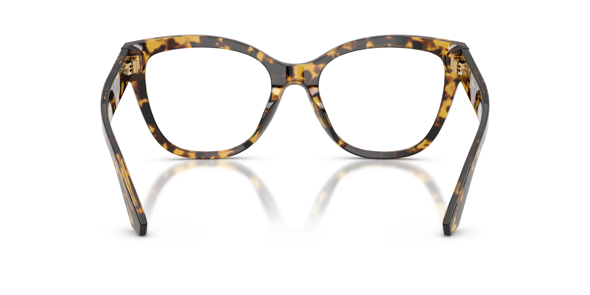 Dolce & GabbanaDG3418 3330 55