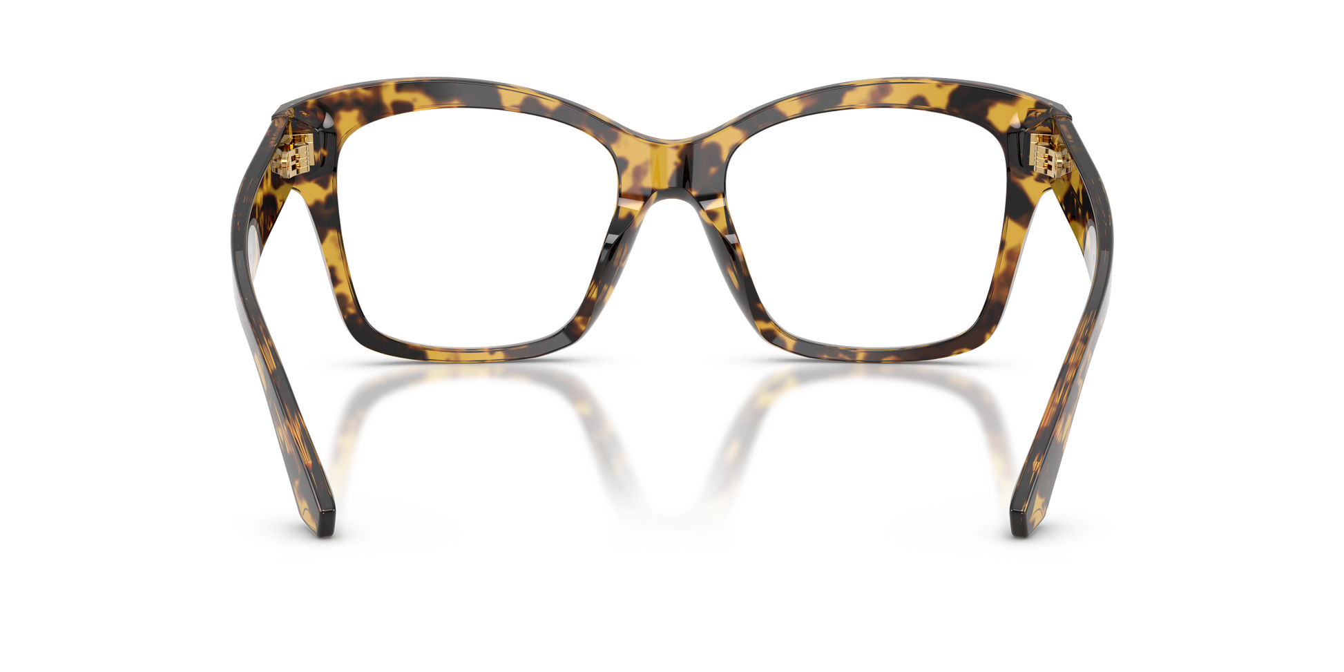 Dolce & GabbanaDG3419 3330 54