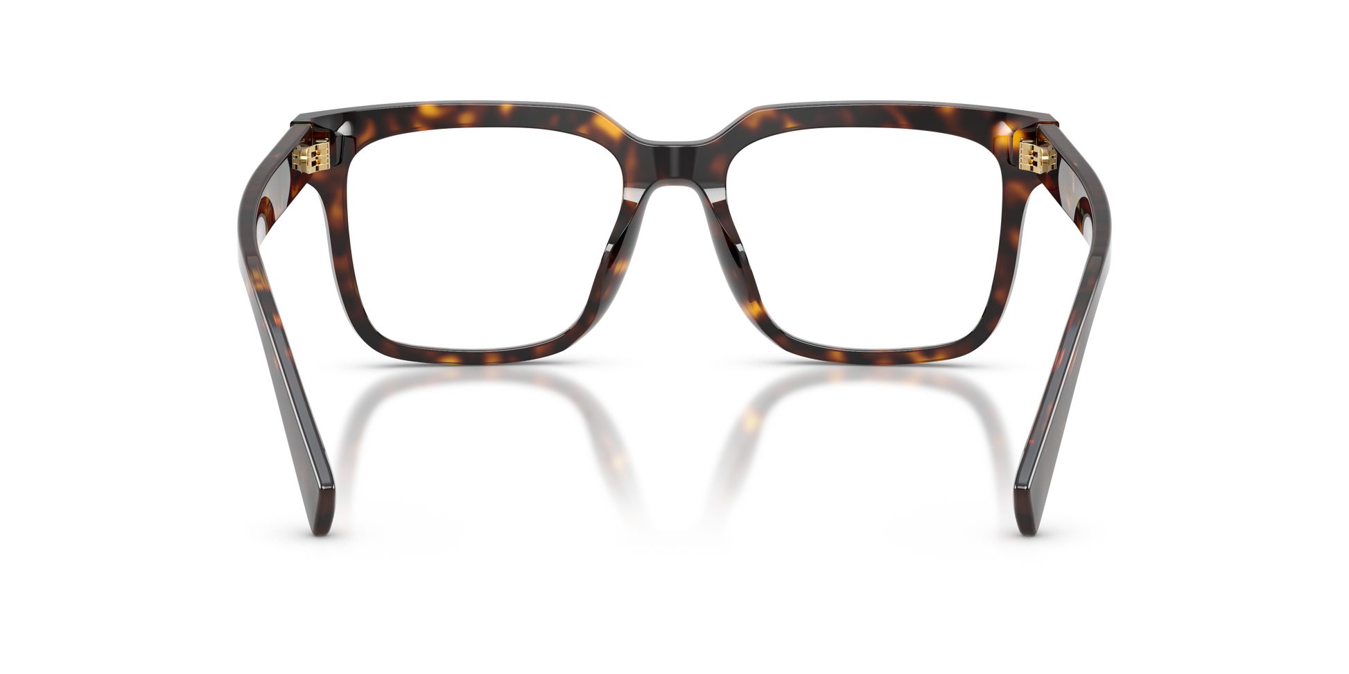 Dolce & GabbanaDG3422 502 53