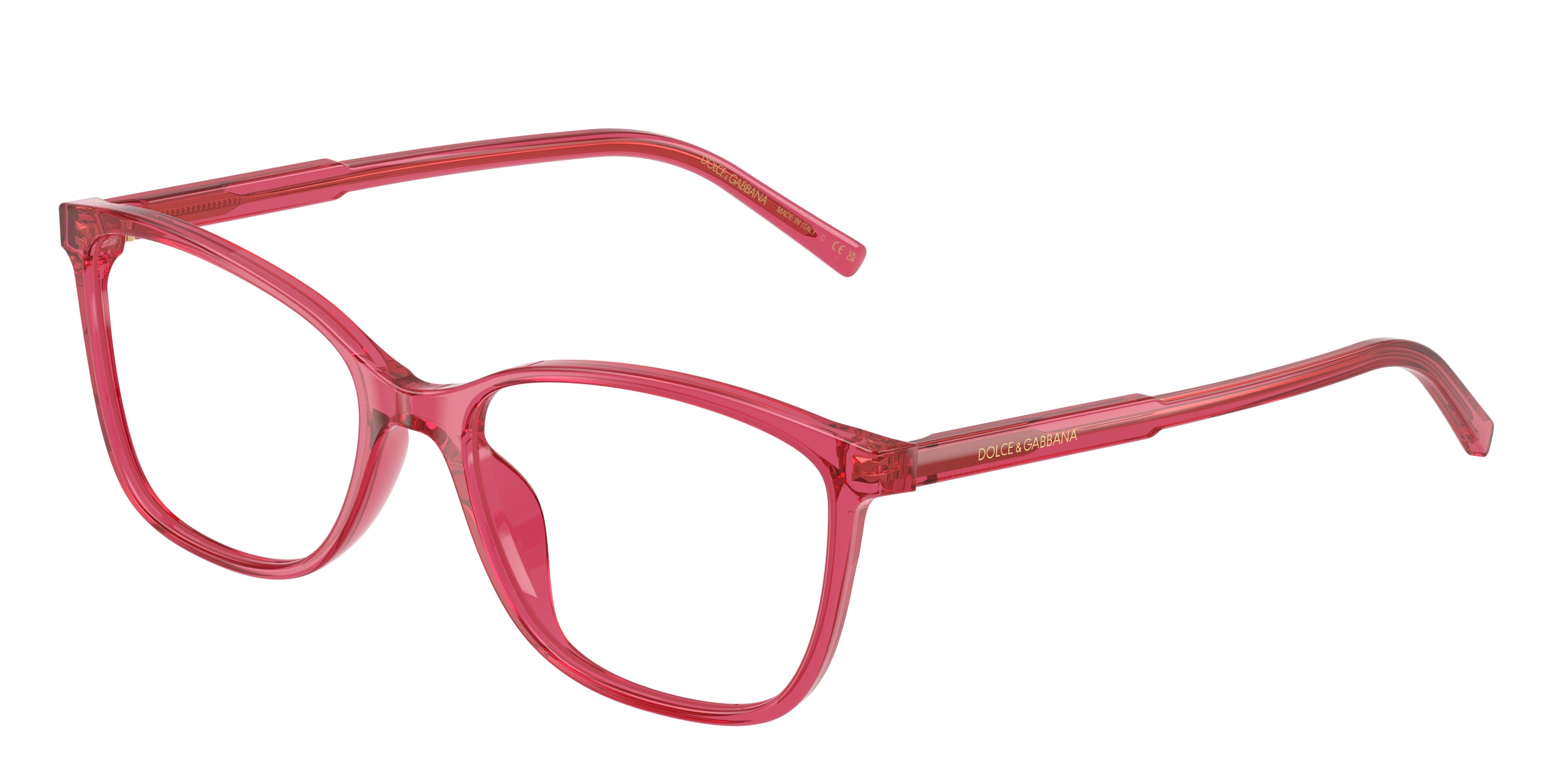 Dolce & Gabbana DG3424 1754