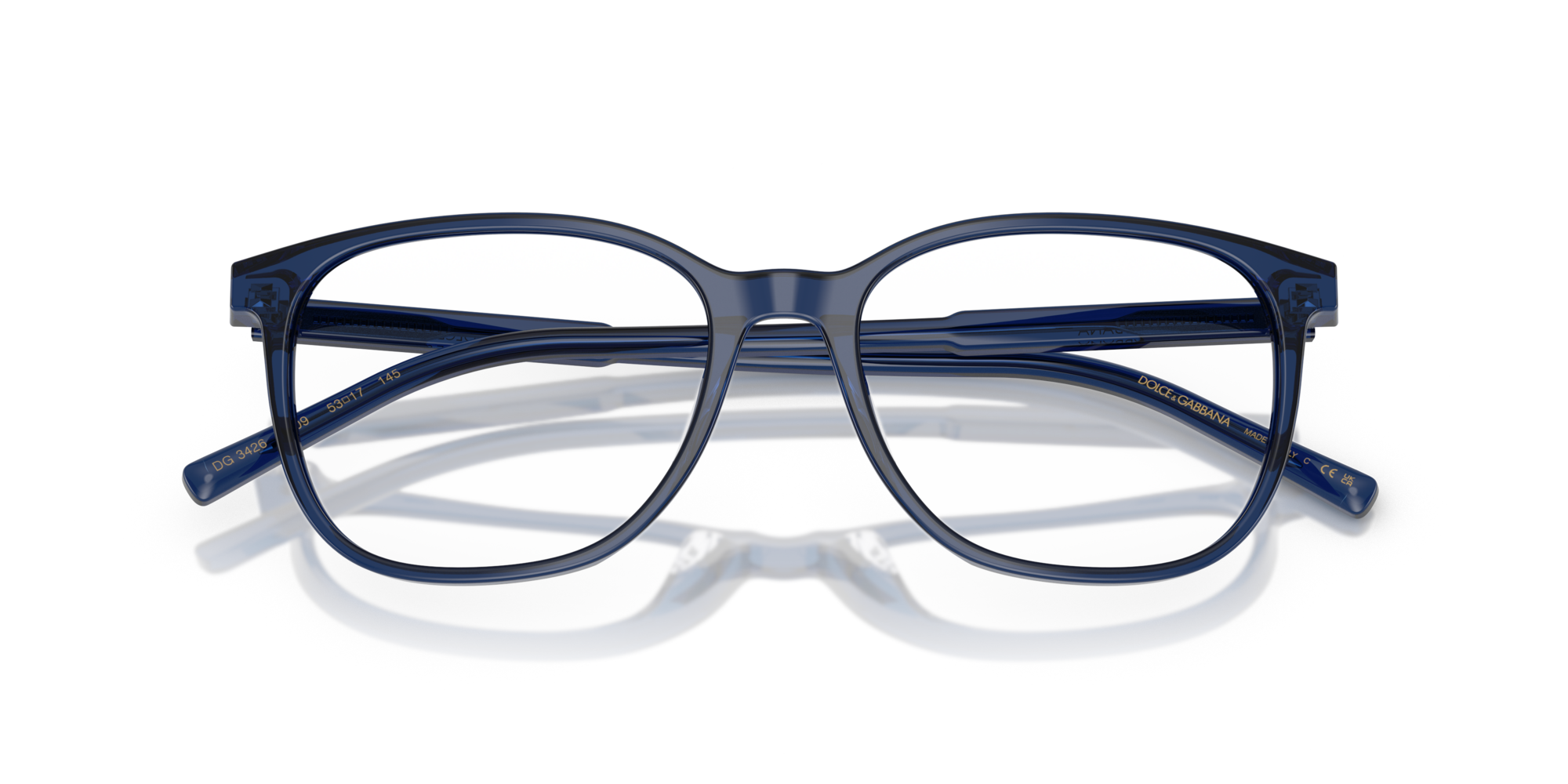 Dolce & Gabbana DG3426 3009