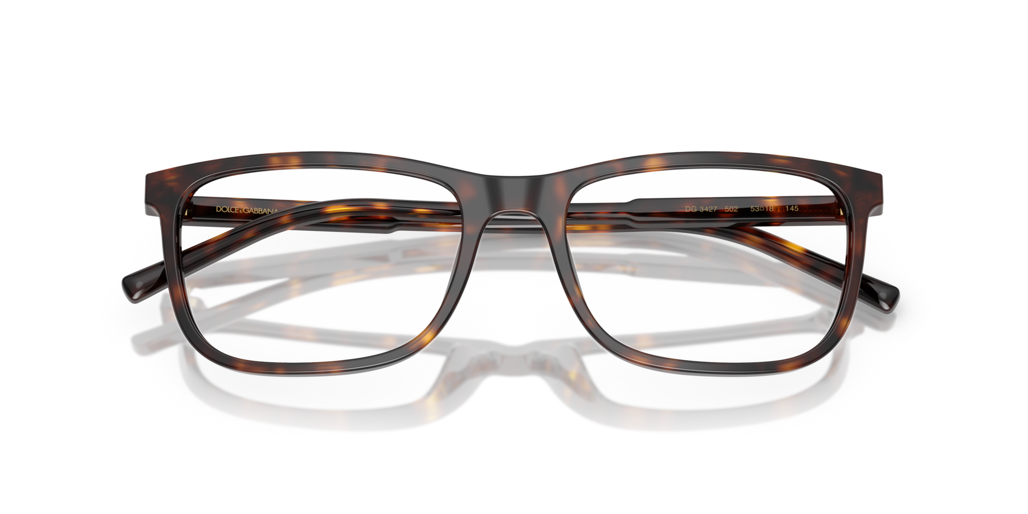 Dolce & Gabbana DG3427 502