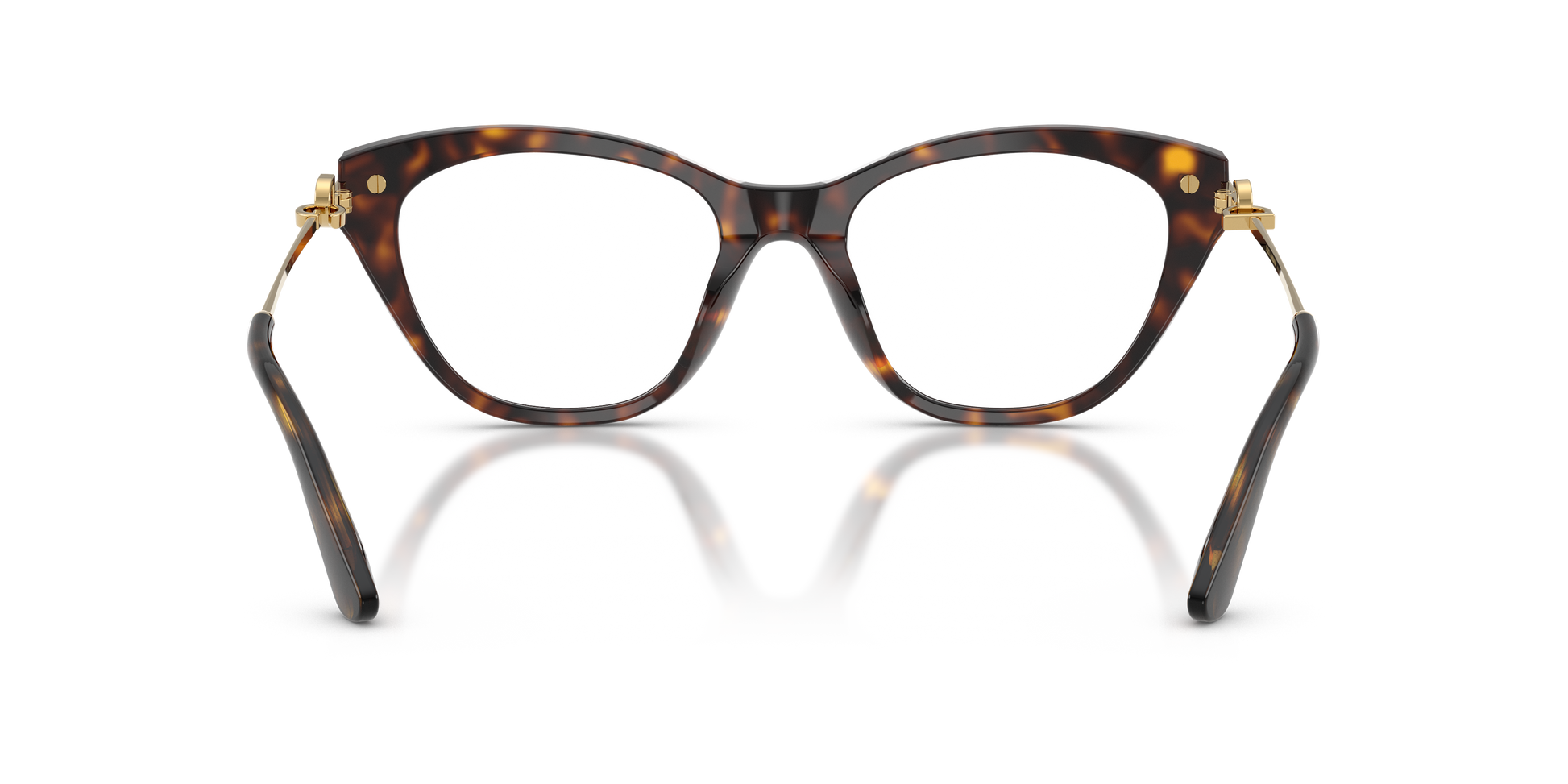 Dolce & Gabbana DG3428 502