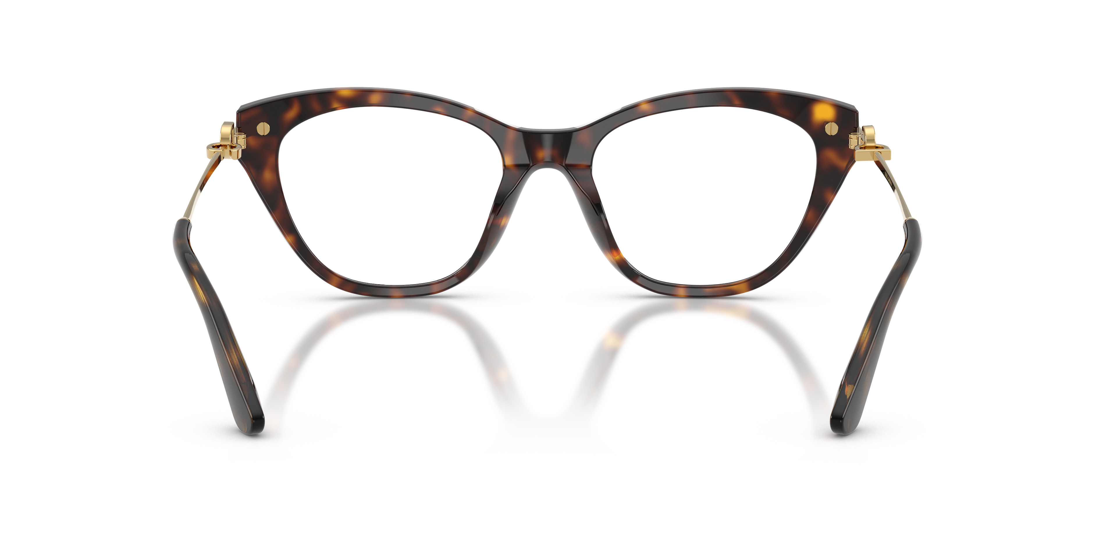 Dolce & Gabbana DG3428 502