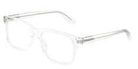 Dolce & Gabbana DG3453 3133